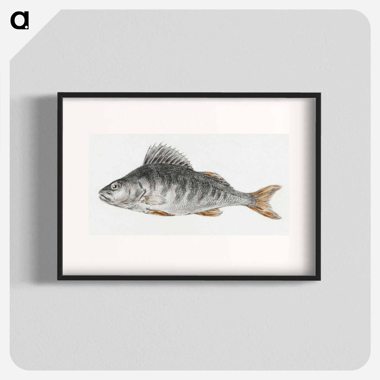 Fish - ジャン ベルナール Poster.