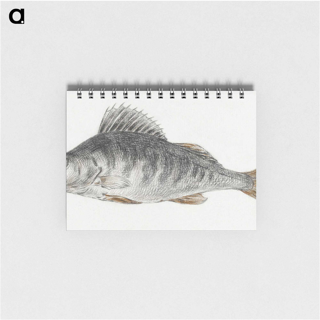 2-22_Jean-Bernard_memo
