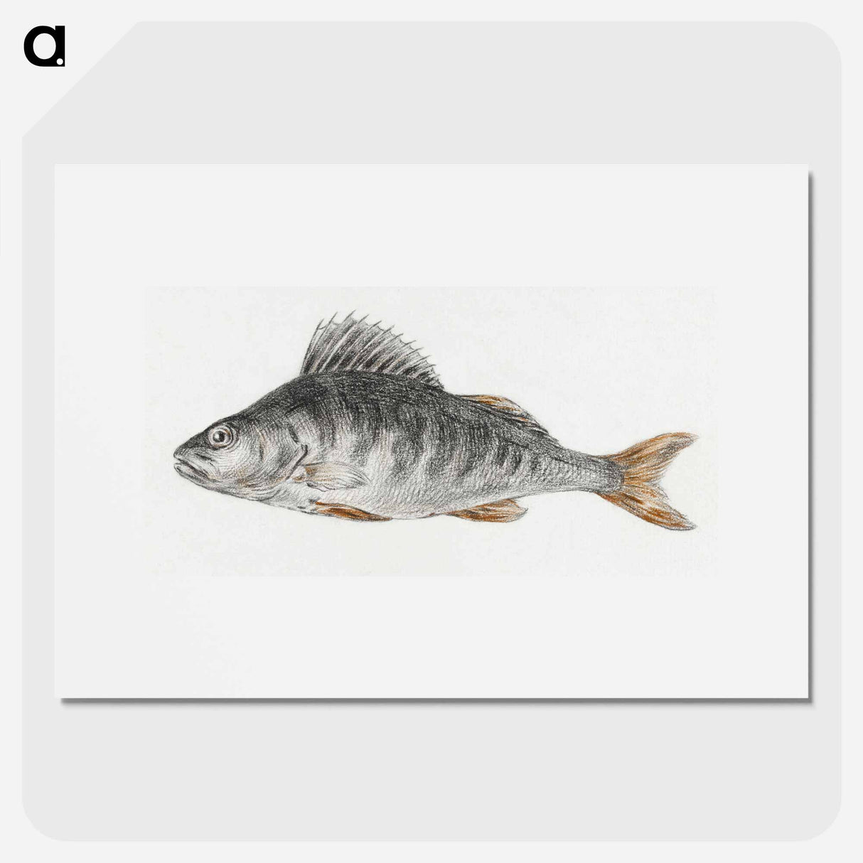 Fish - ジャン ベルナール Poster.