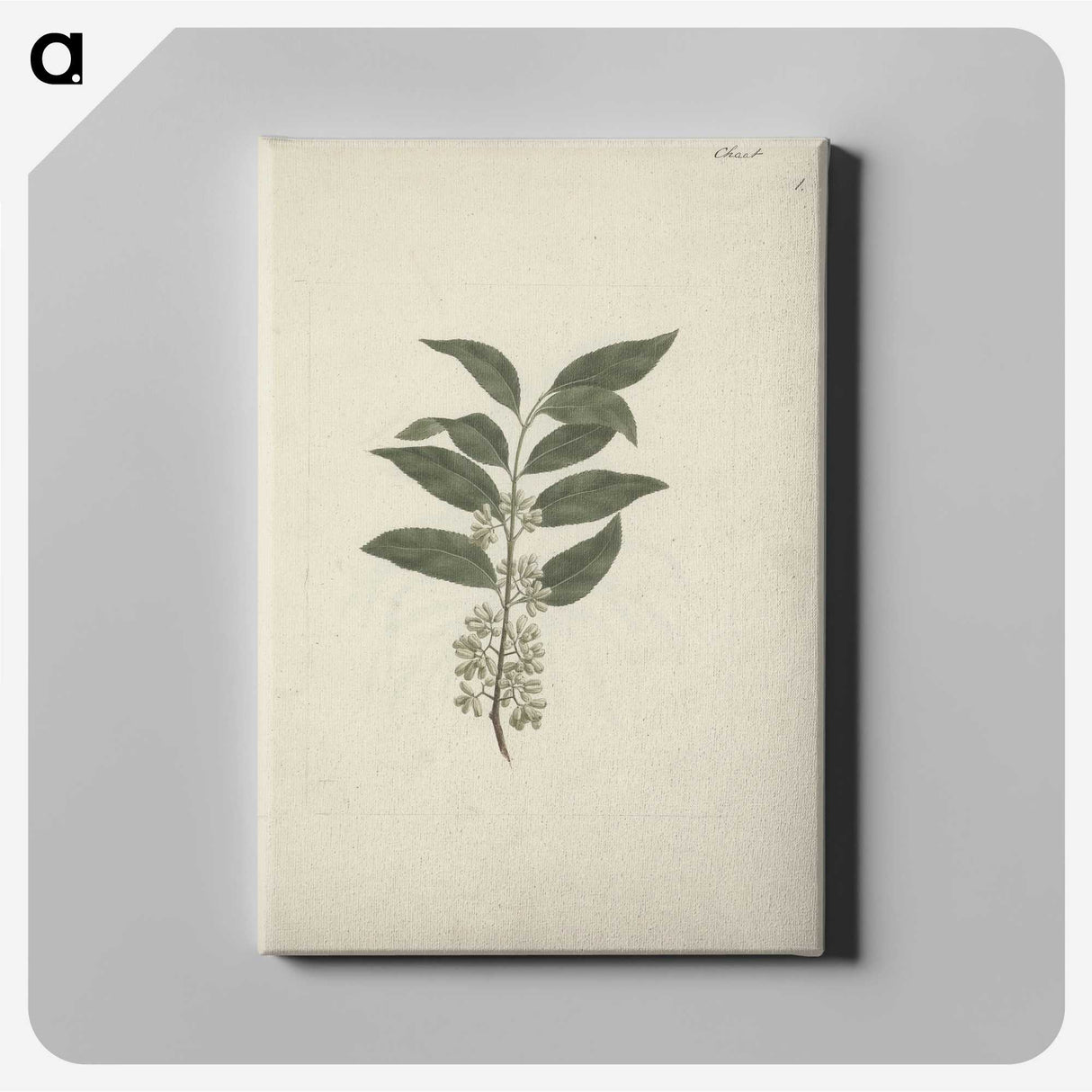 2-22_Luigi-Balugani_canvas
