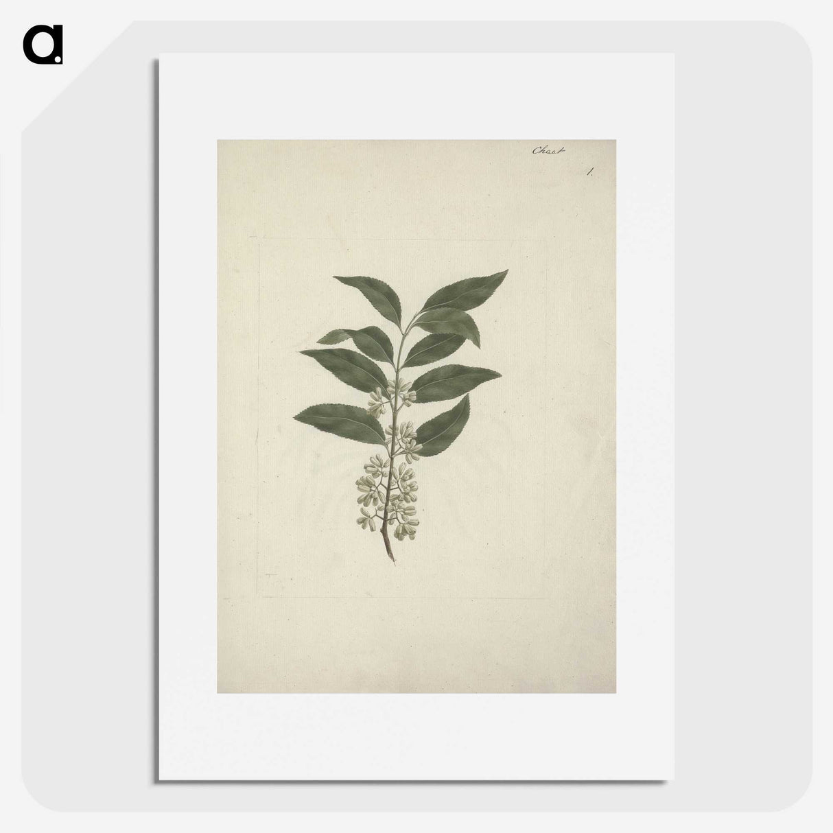 2-22_Luigi-Balugani_picture