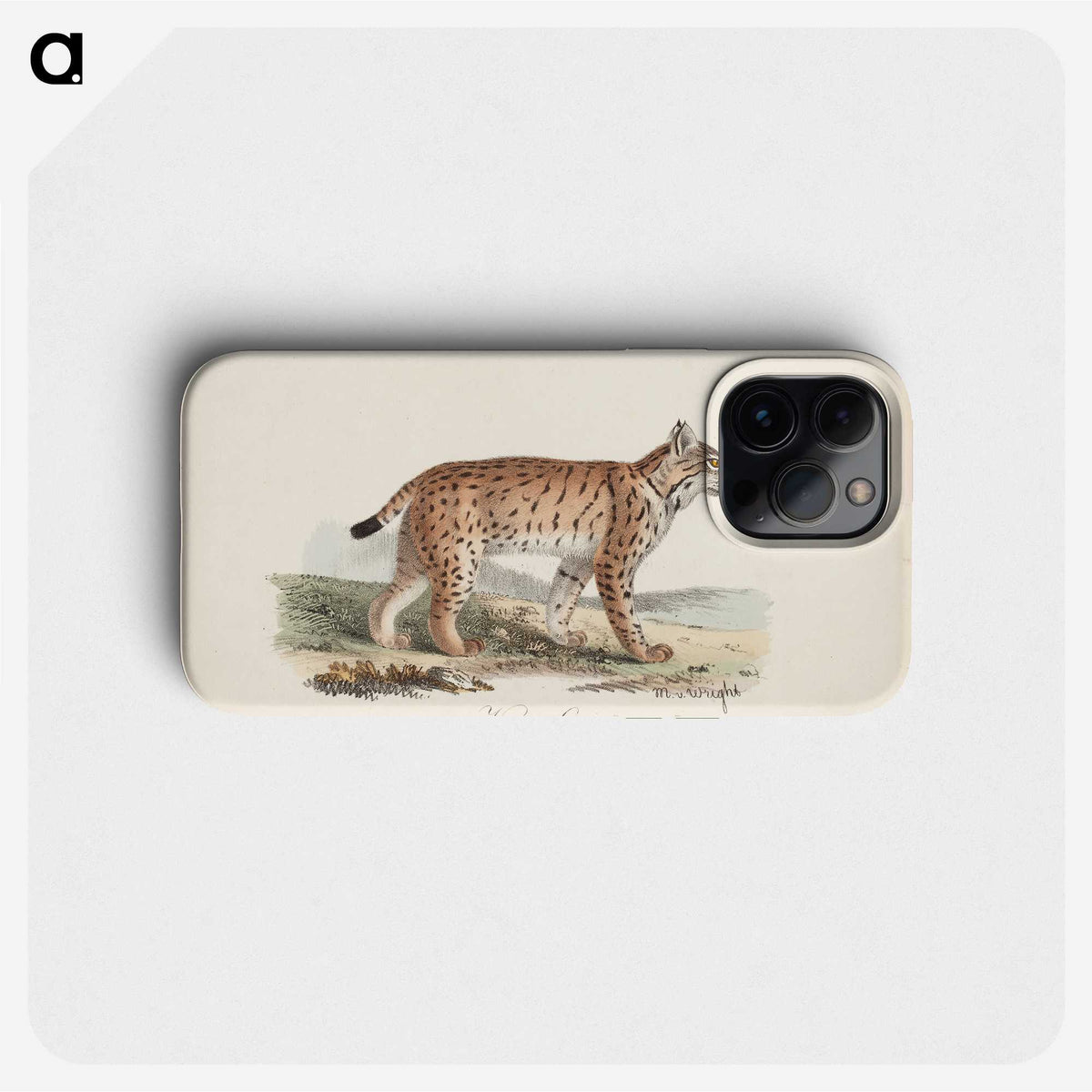 2-22_Magnus-von-Wright_phone