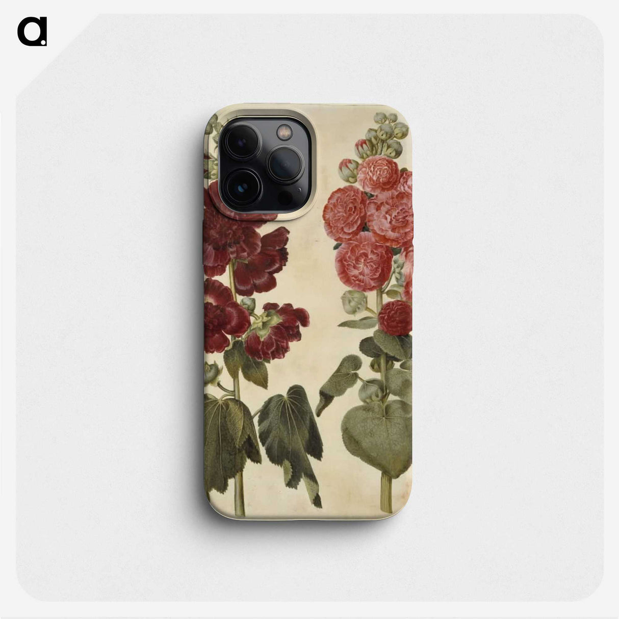 2-22_Maria-Sibylla-Merian_phone