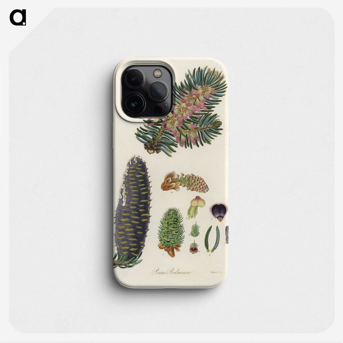 2-22_Medical-Botany_phone