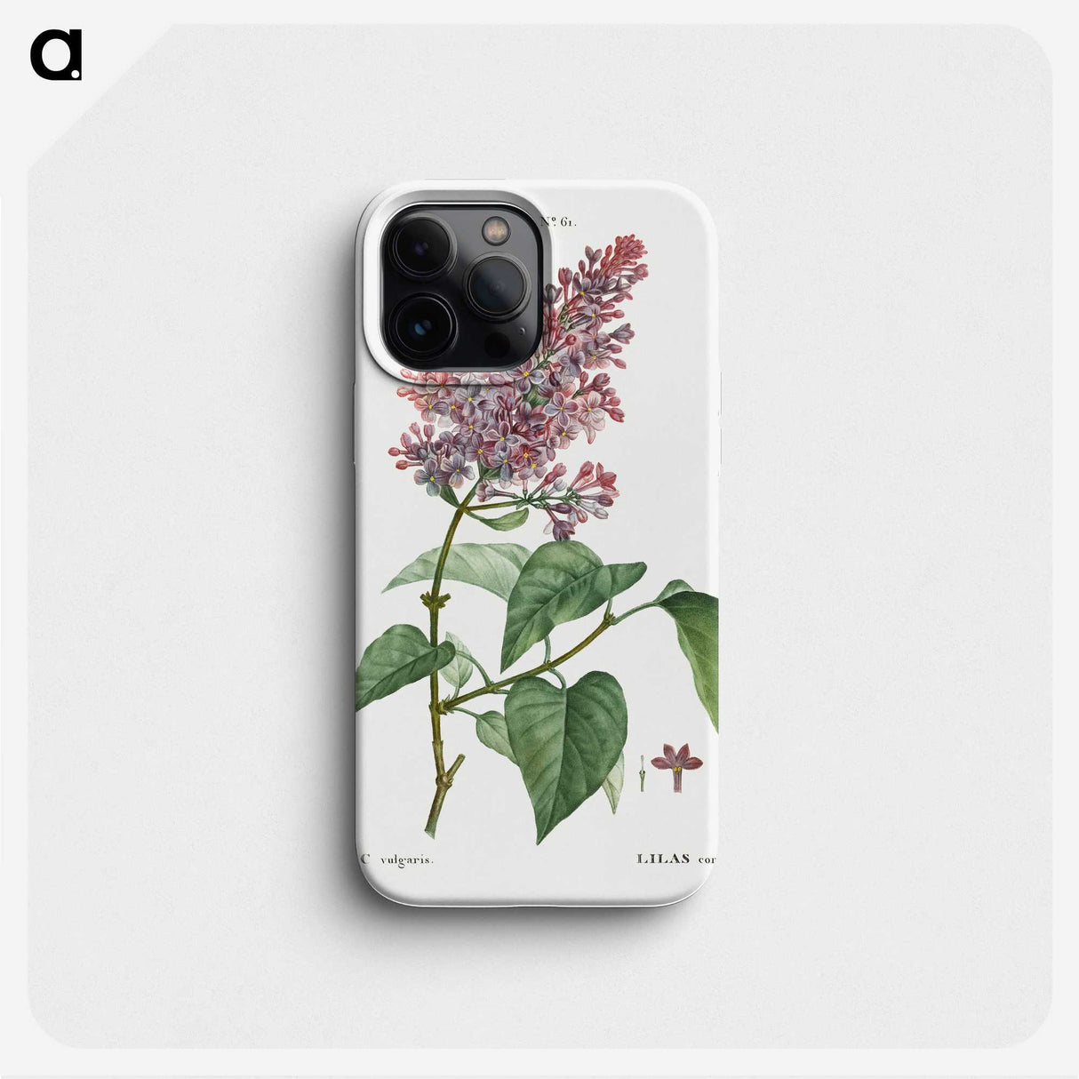 2-22_Pierre-Joseph-Redoute_phone