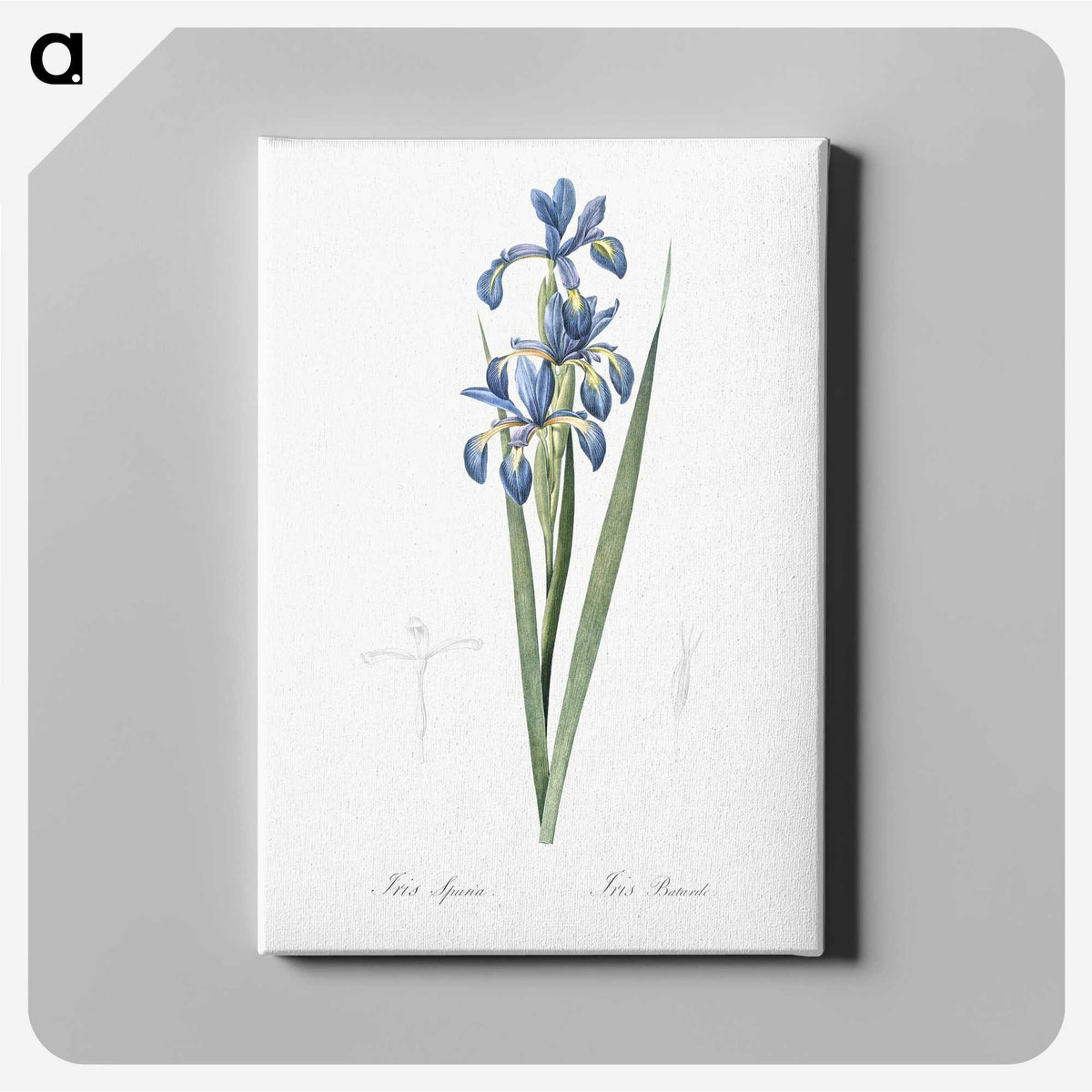 2-22_The-Lilies_canvas