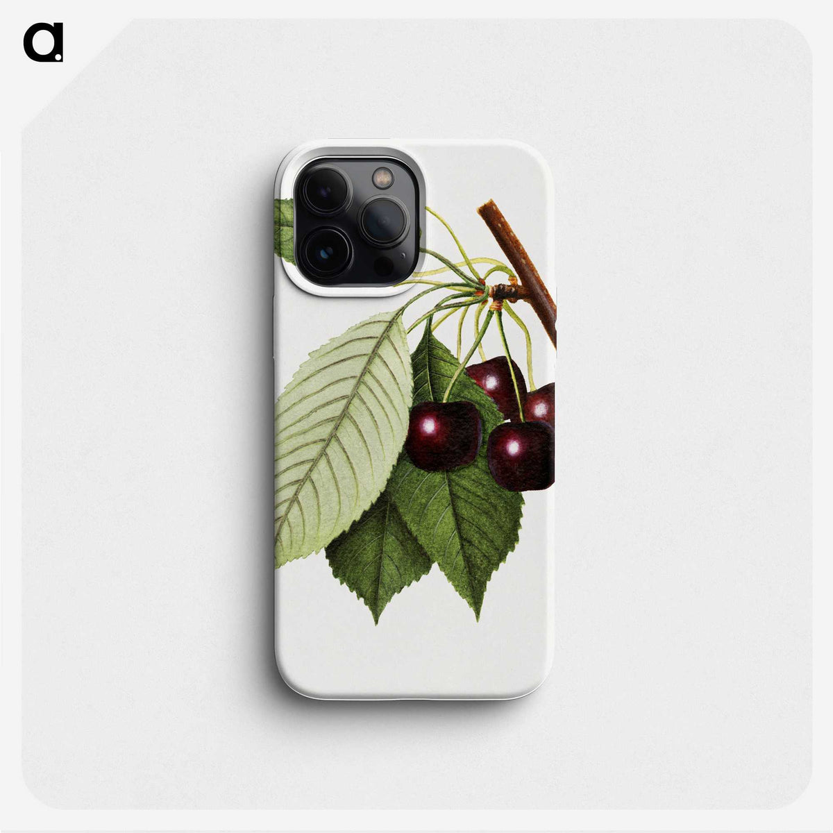 2-22_USDA-Watercolor-Fruit-Painting-Collection_phone