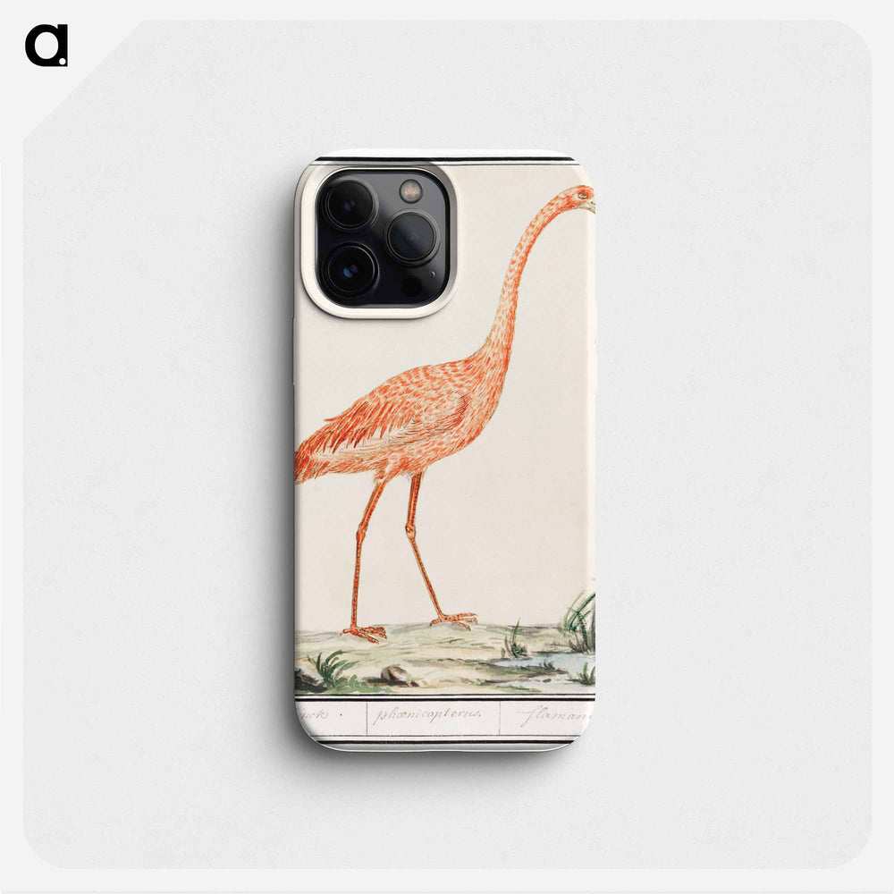 Common flamingo - アンセルムス ボエティウス デ ブート Phone Case.