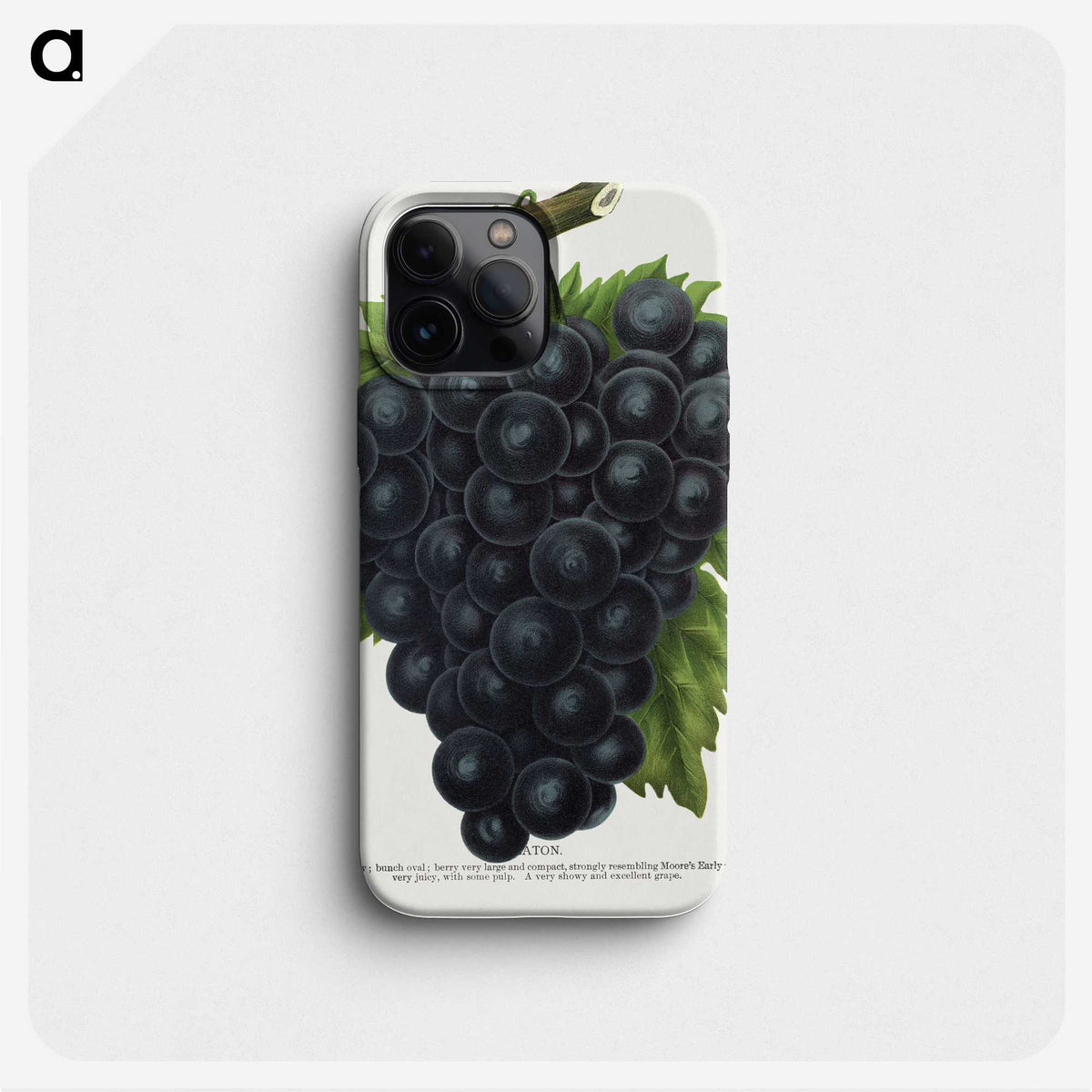 2-23_Botanical-Specimen-Plates_phone