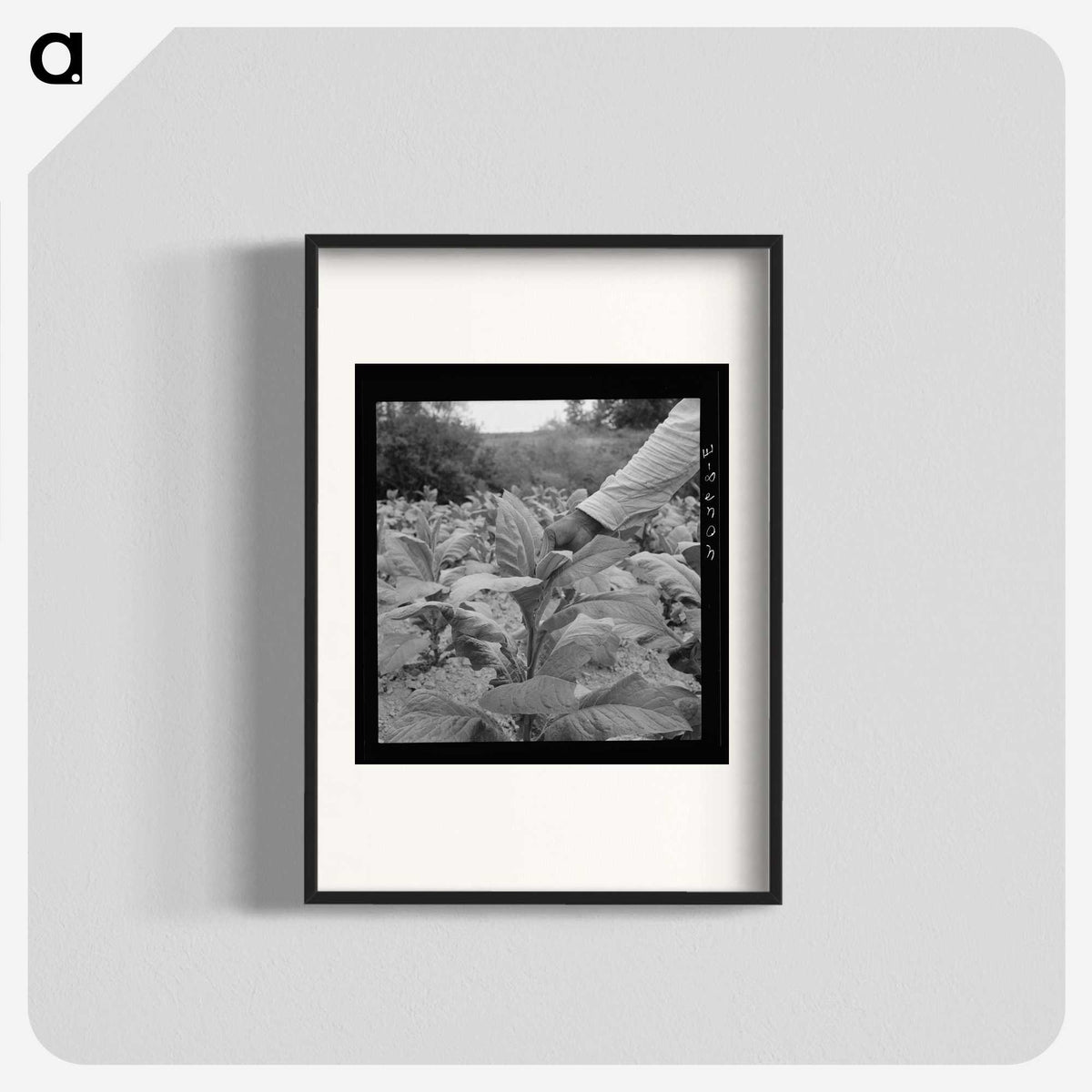 2-23_Dorothea-Lange_blk