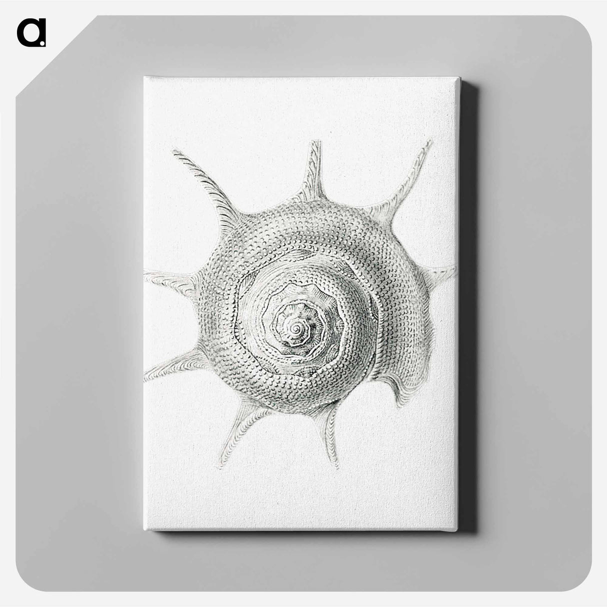 Vintage aquatic snail illustration - エルンスト ヘッケル Canvas.