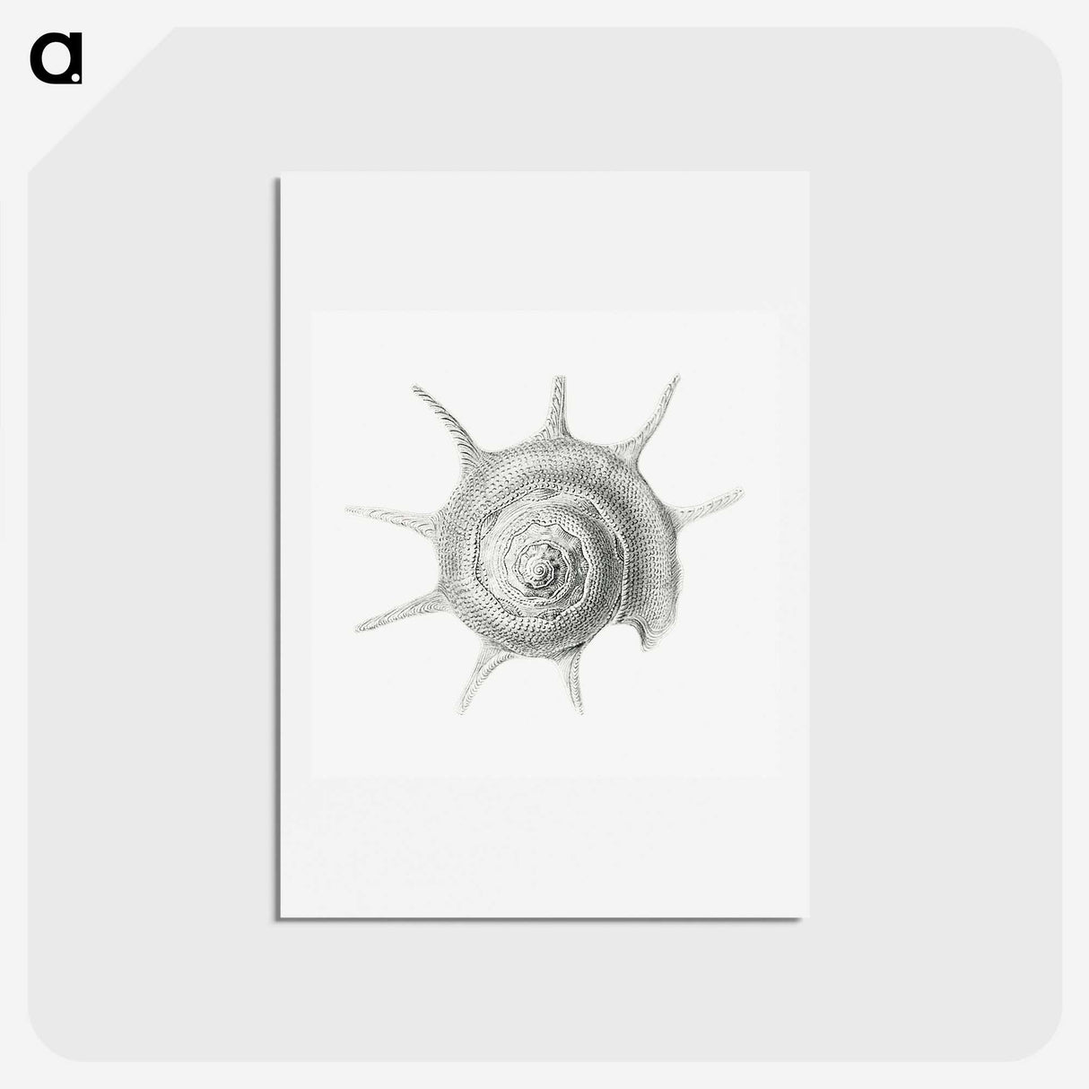 2-23_Ernst-Haeckel_hagaki
