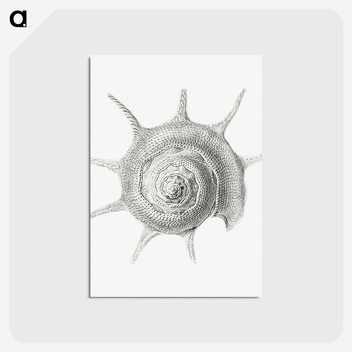 2-23_Ernst-Haeckel_postcard