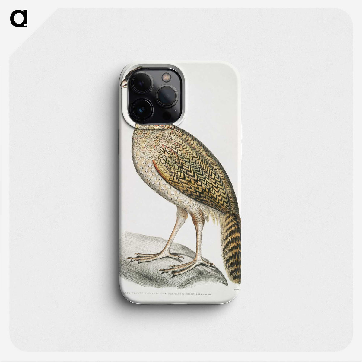 2-23_Indian-Zoology_phone