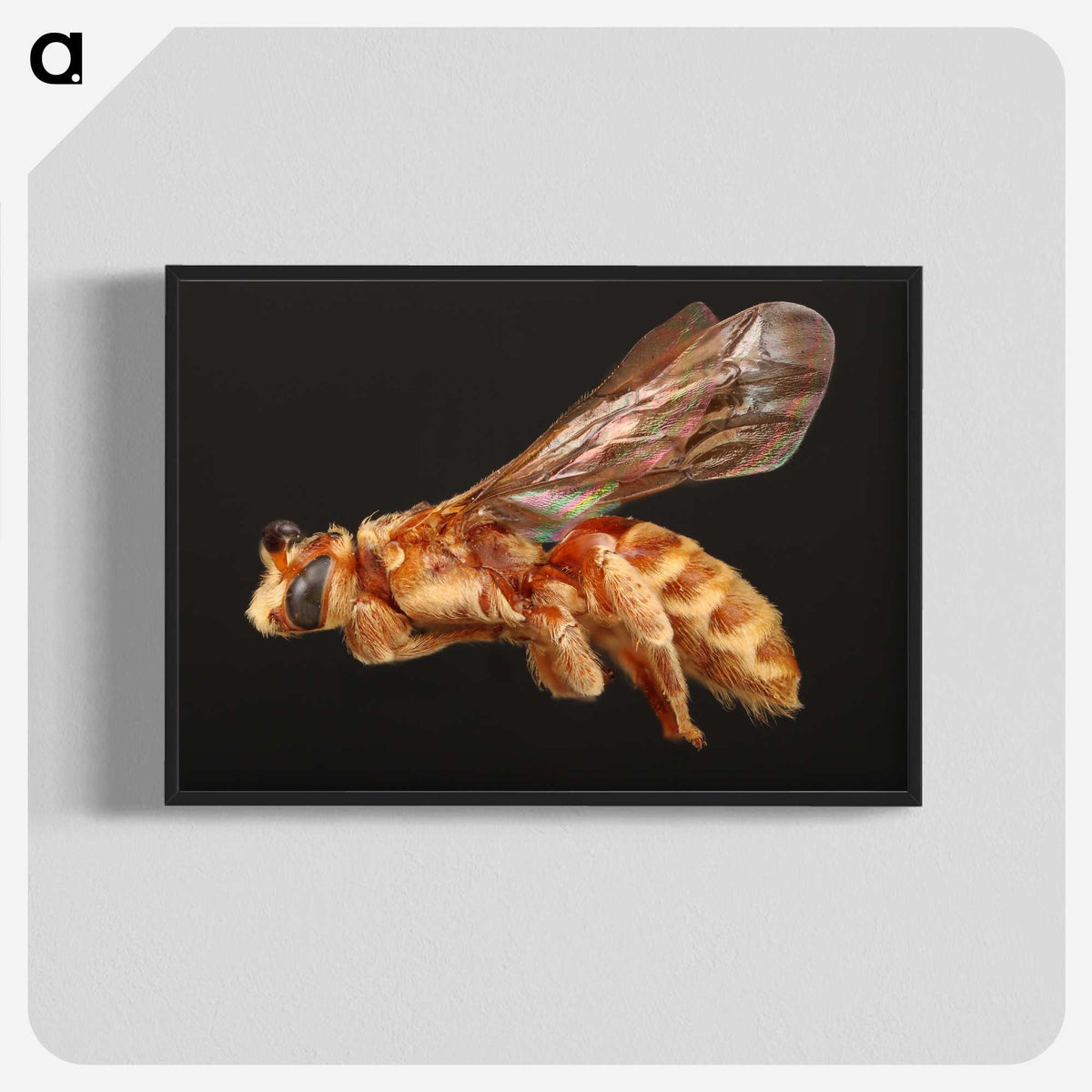 2-23_Insects-Unlocked-Project_blk-crop