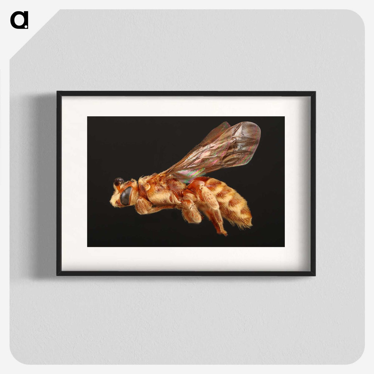 2-23_Insects-Unlocked-Project_blk