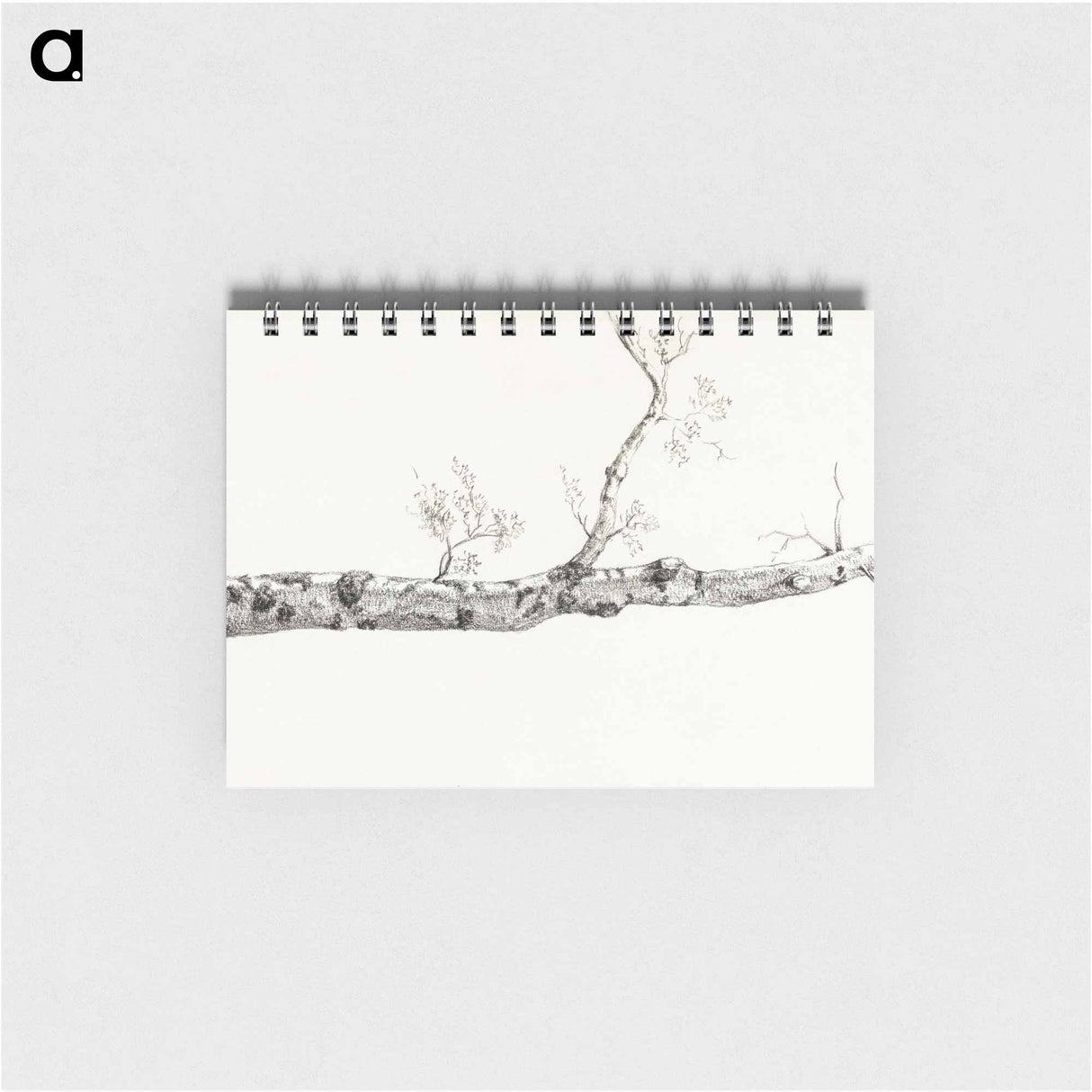 Study of a tree - ジャン ベルナール Memo.