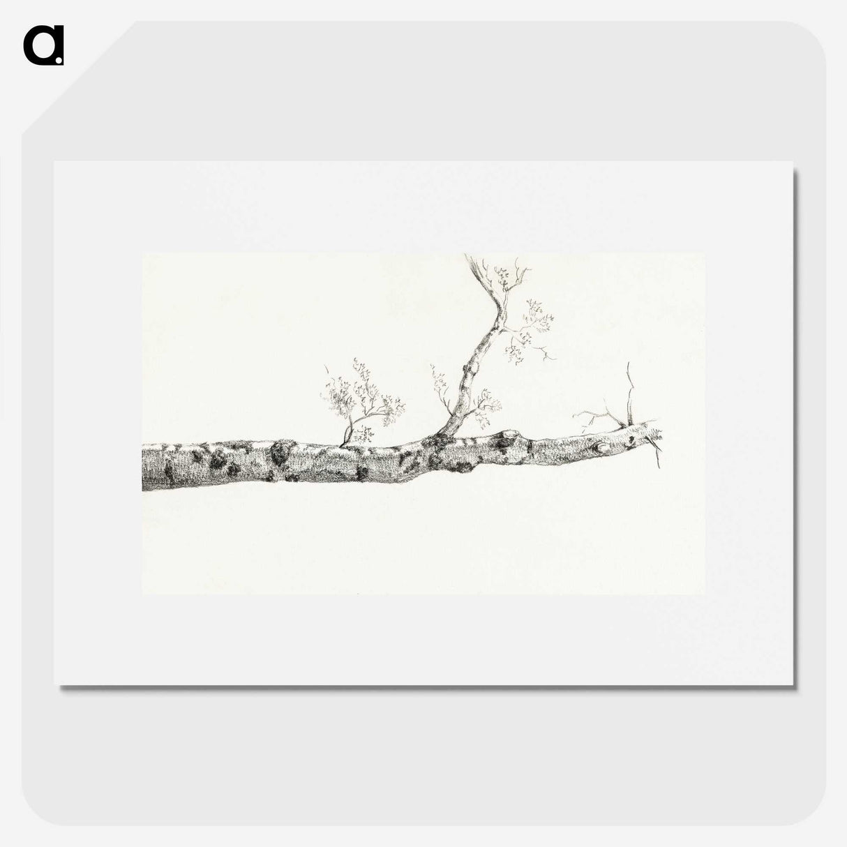2-23_Jean-Bernard_picture