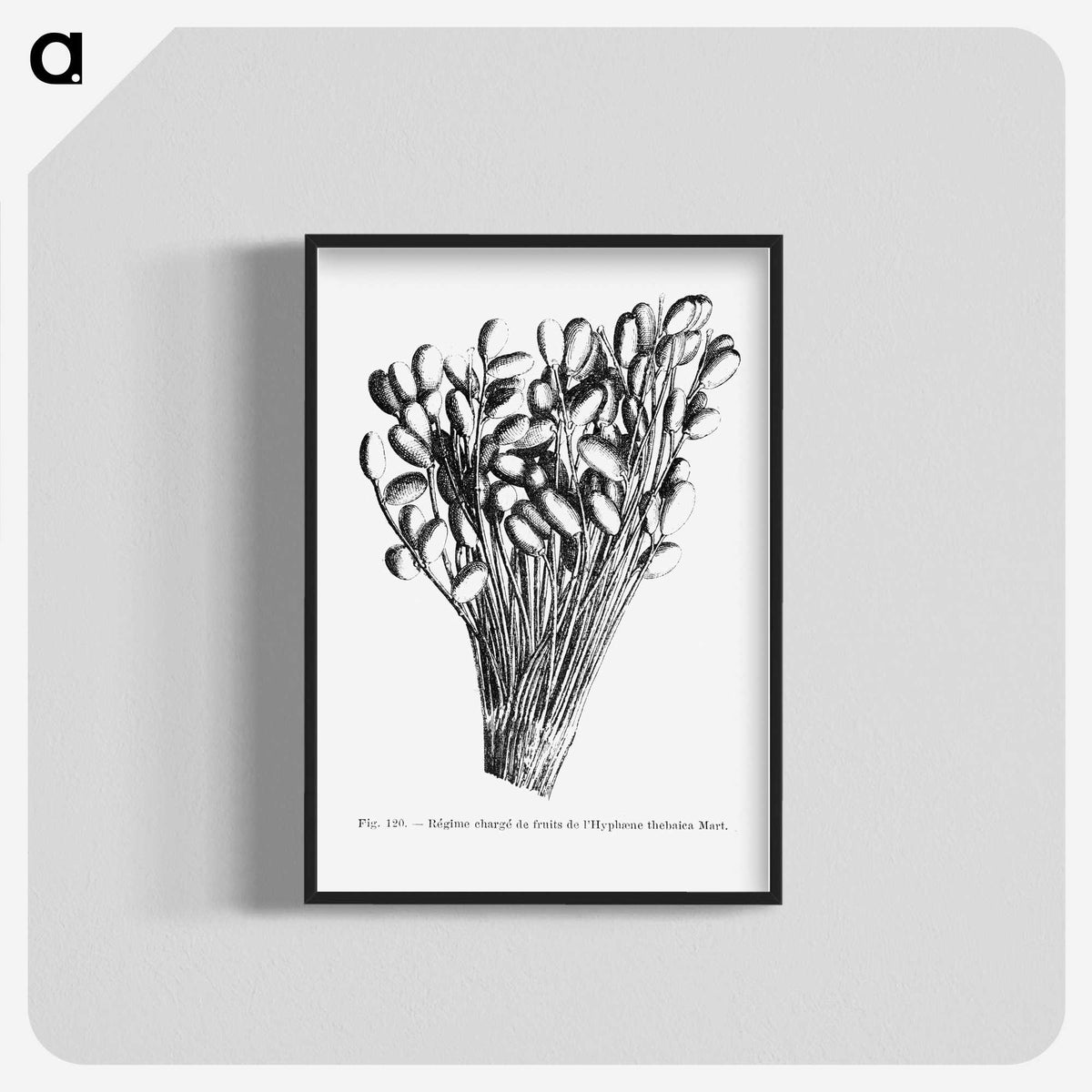 2-23_Les-Palmiers-Histoire-Iconographique_blk-crop