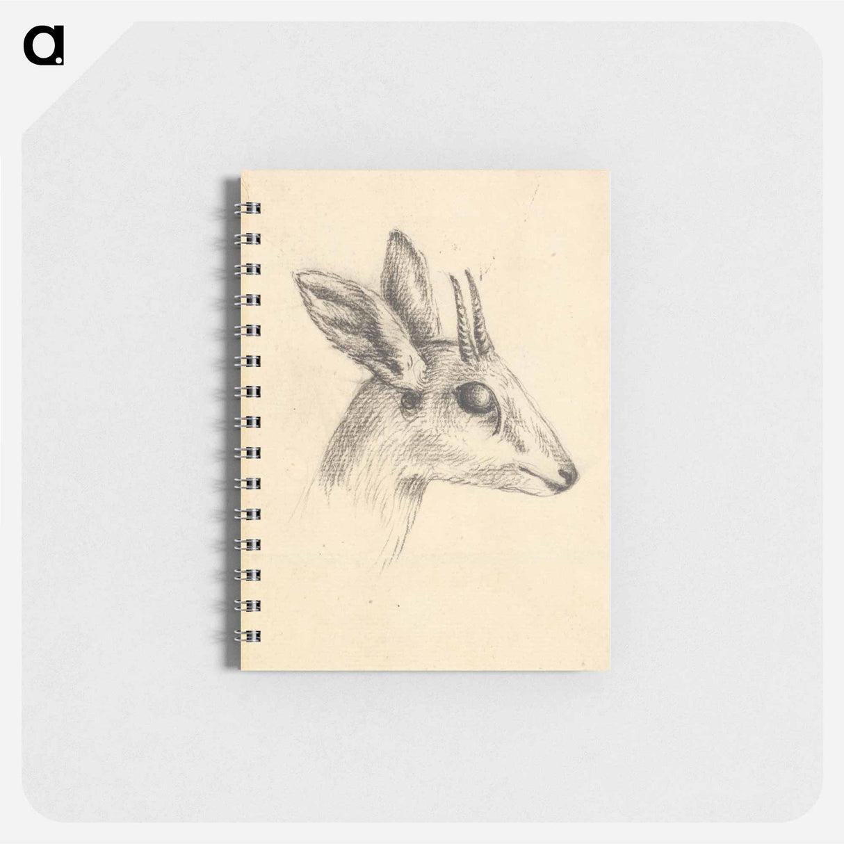 Antelope Head
- ルイージ バルガーニ Memo.