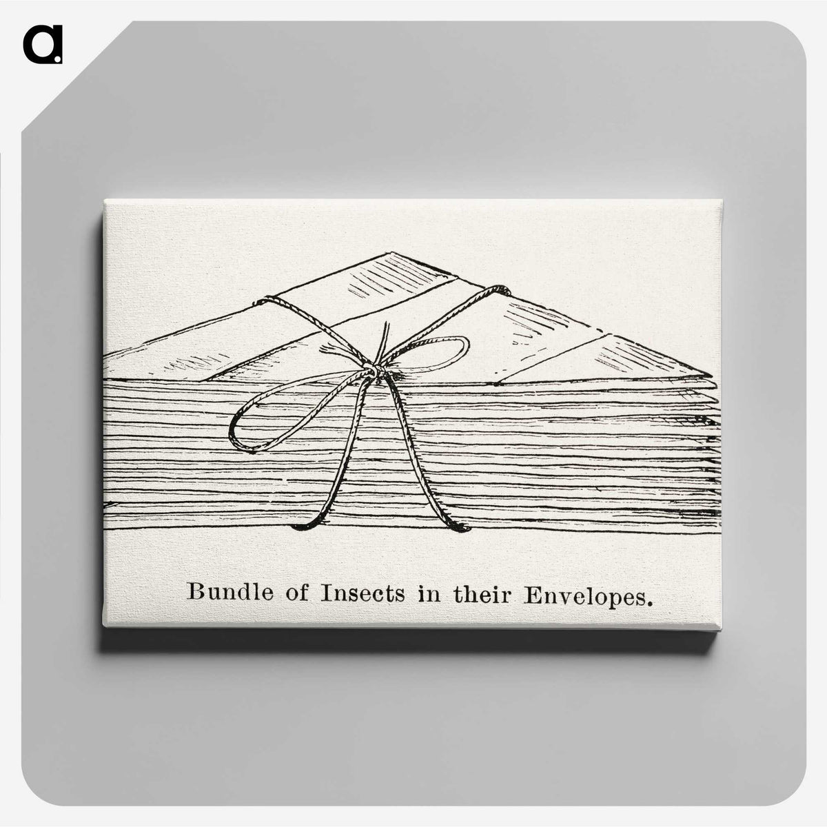 2-23_Moths-and-Butterflies-of-the-United-States_canvas