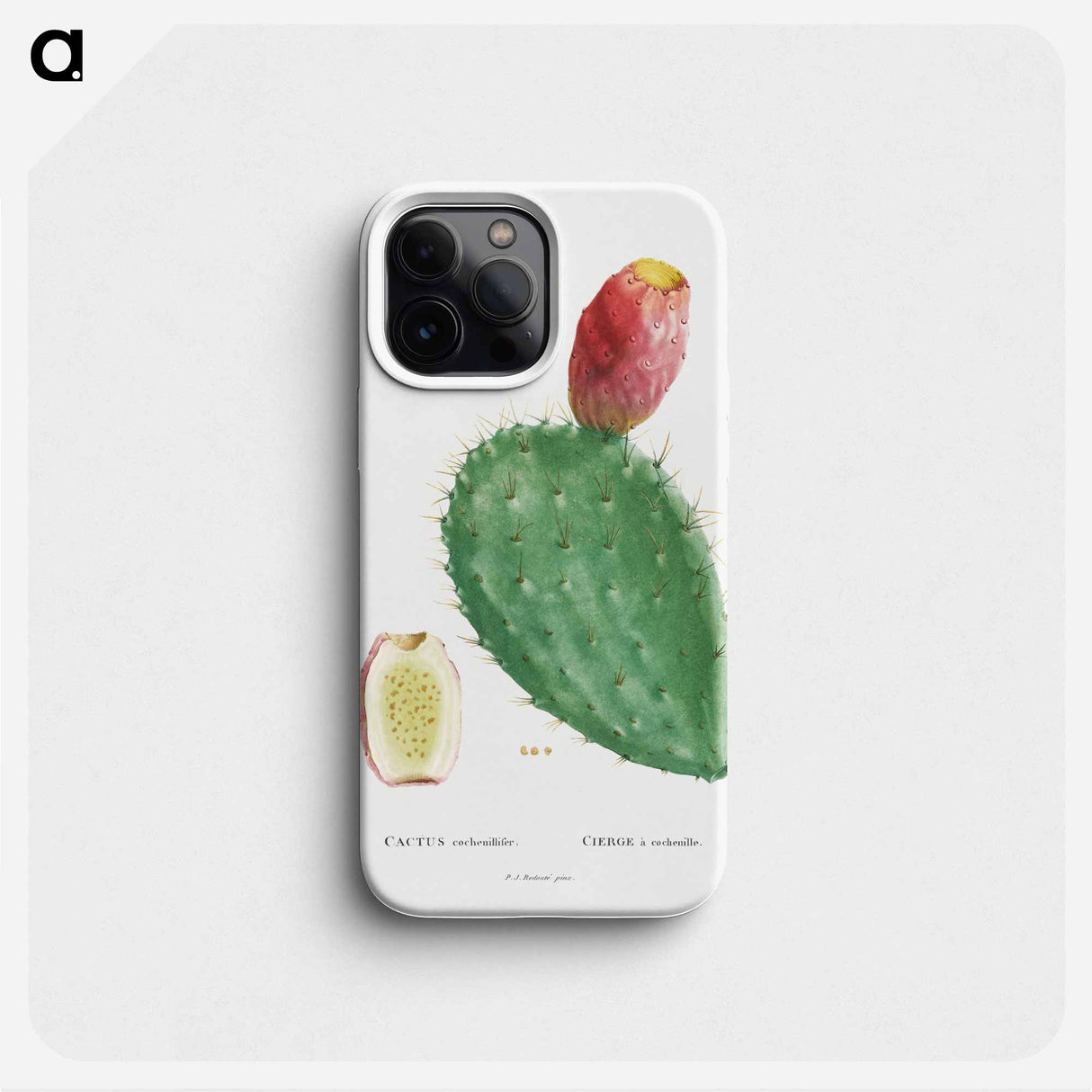 Cactus Cochenillifer - ピエール ジョゼフ ルドゥーテ Phone Case.