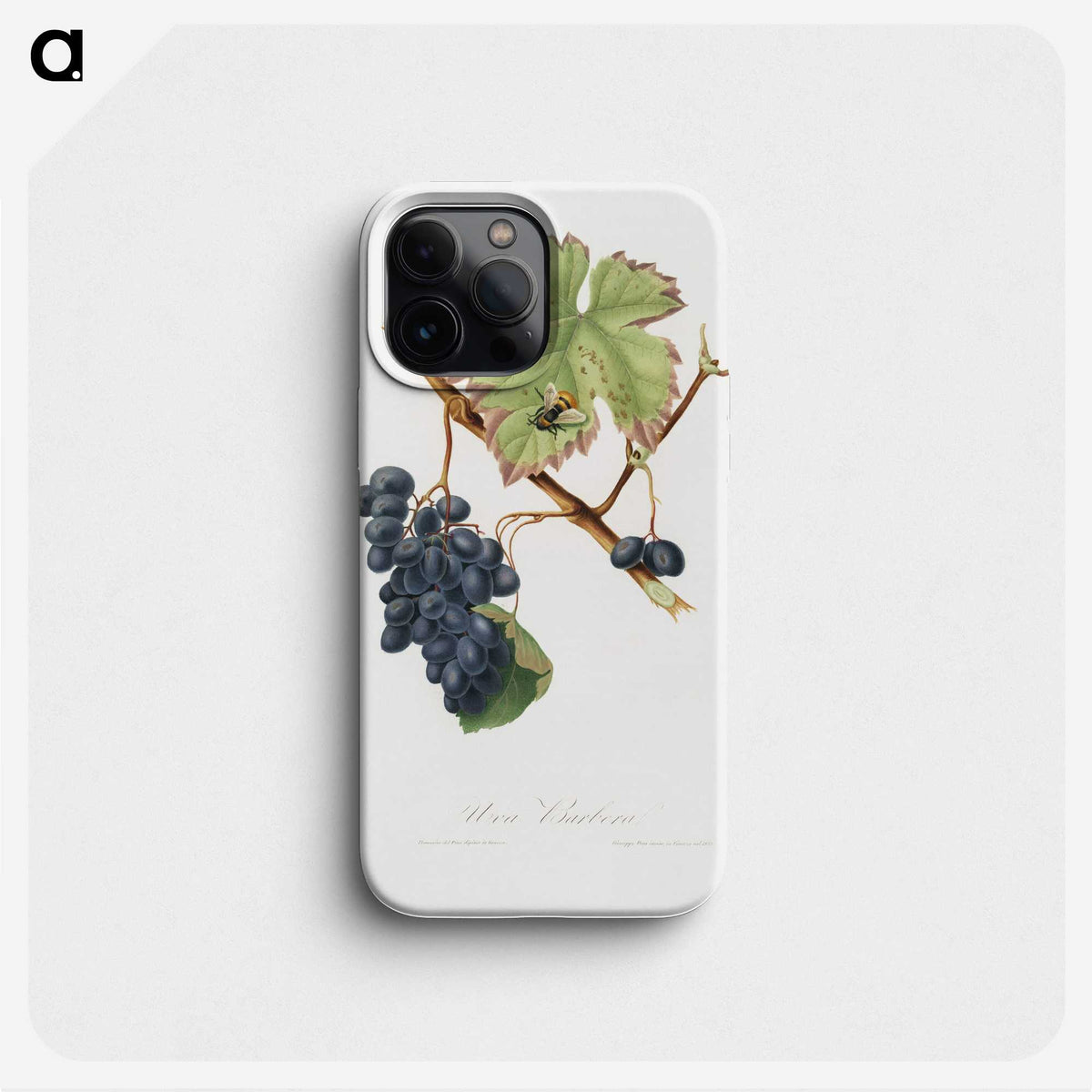 2-23_Pomona-Italiana_phone