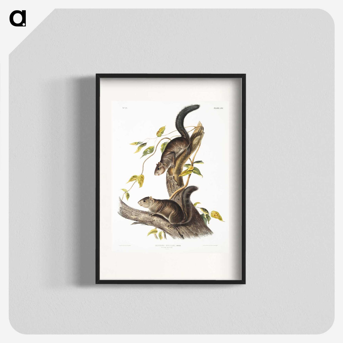 2-23_The-Viviparous-Quadrupeds_blk