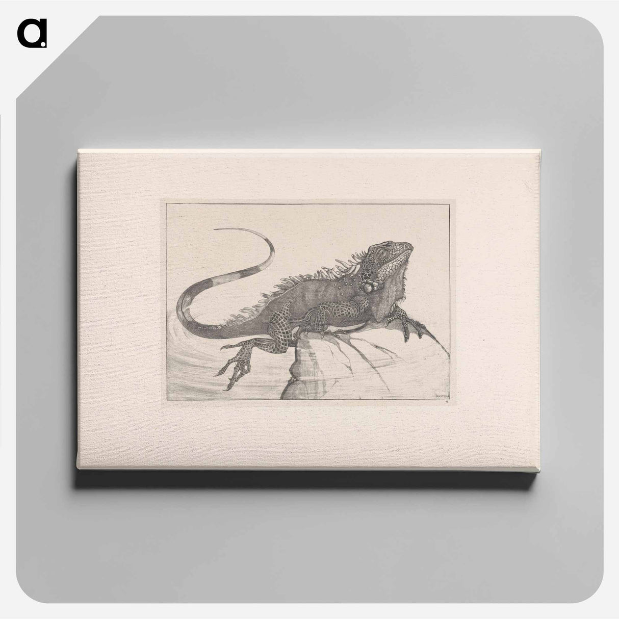 Leguaan of een steen in water - Theo van Hoytema Canvas.