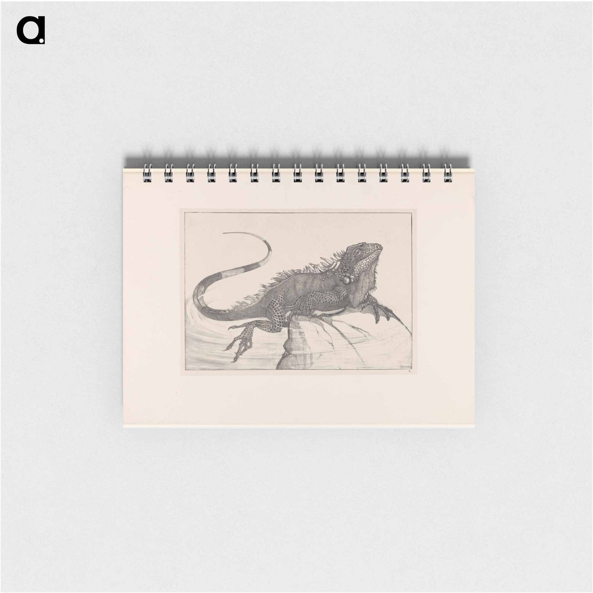 Leguaan op een steen in water - テオ ヴァン ホイテマ Memo.