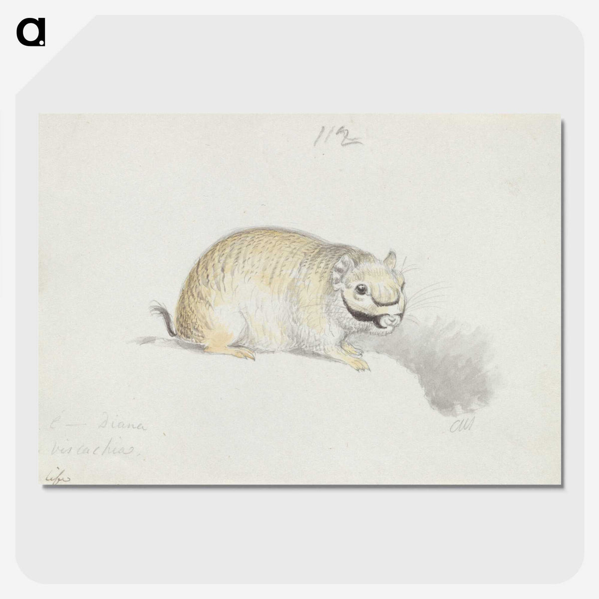 2-24_Charles-Hamilton-Smith_picture-crop