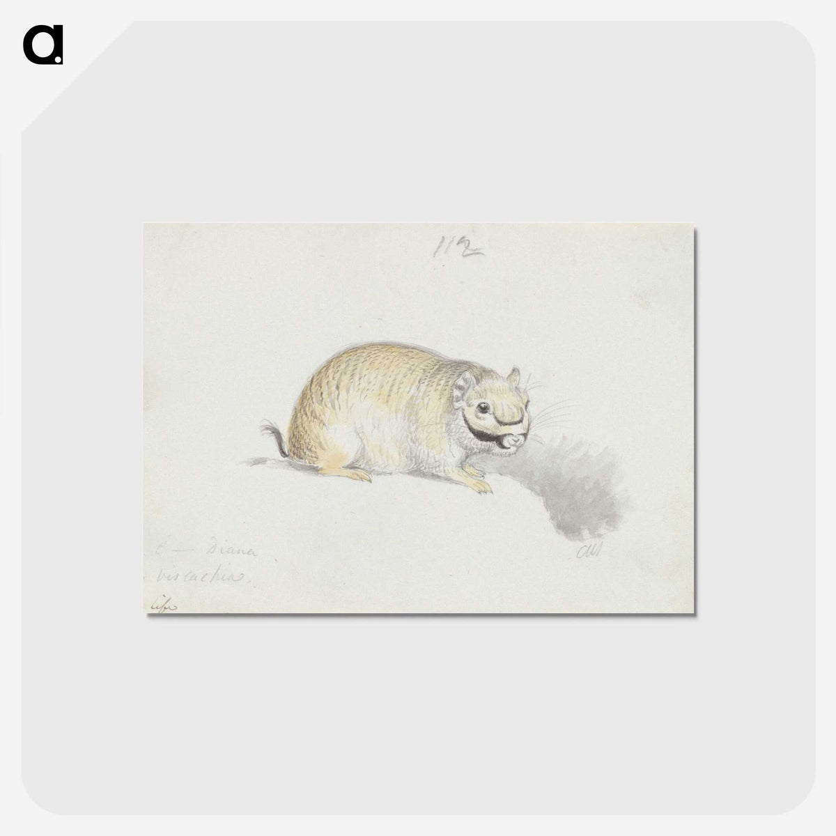 2-24_Charles-Hamilton-Smith_postcard