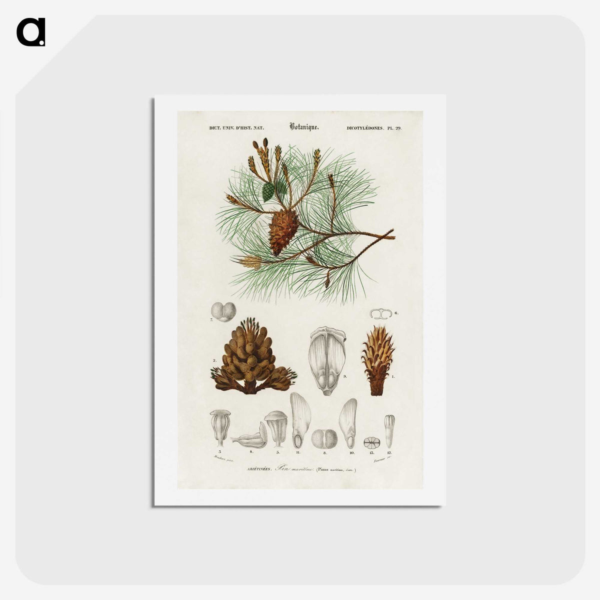 2-24_Christmas_hagaki