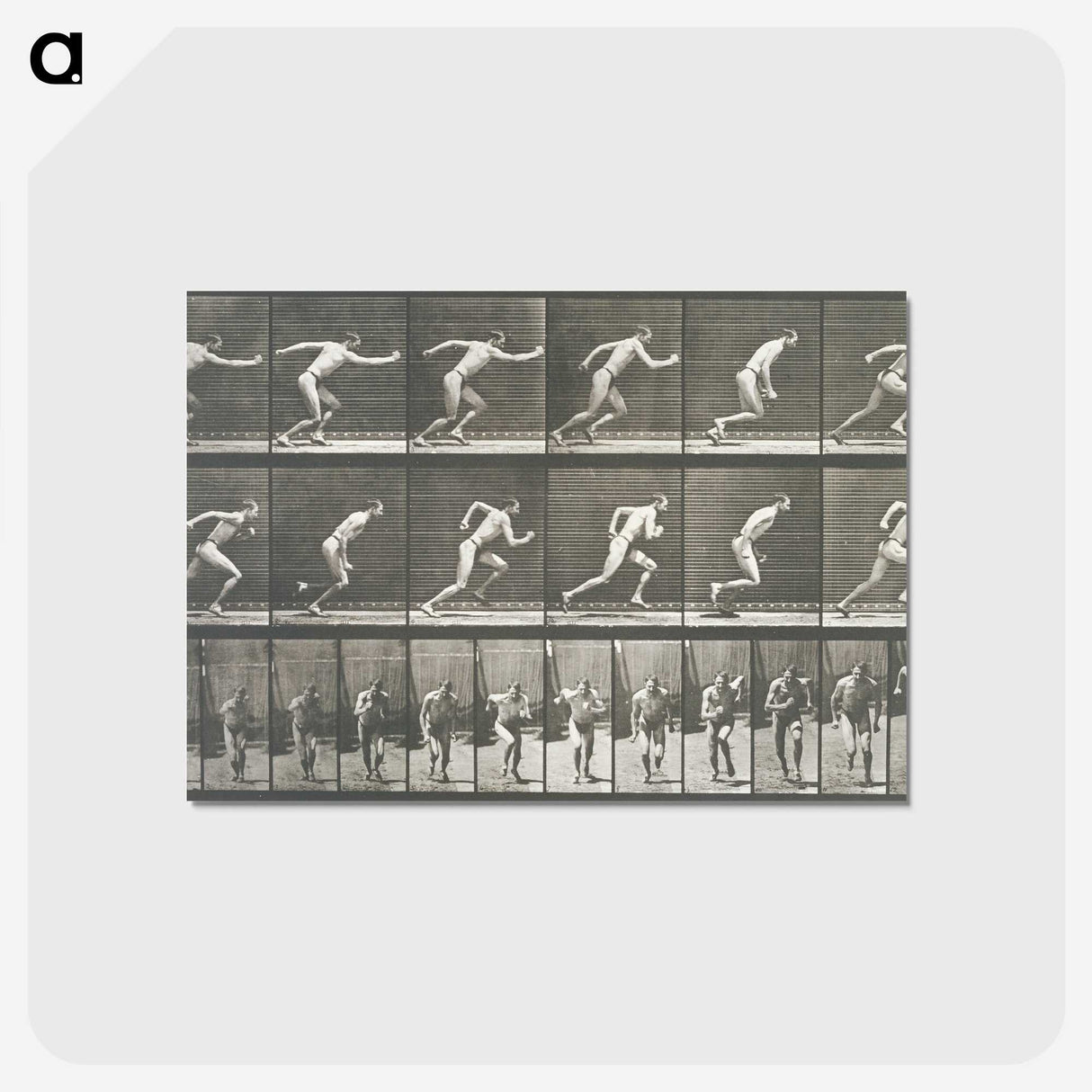 2-24_Eadweard-Muybridge_postcard