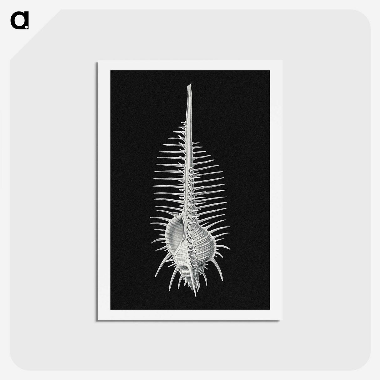 2-24_Ernst-Haeckel_hagaki