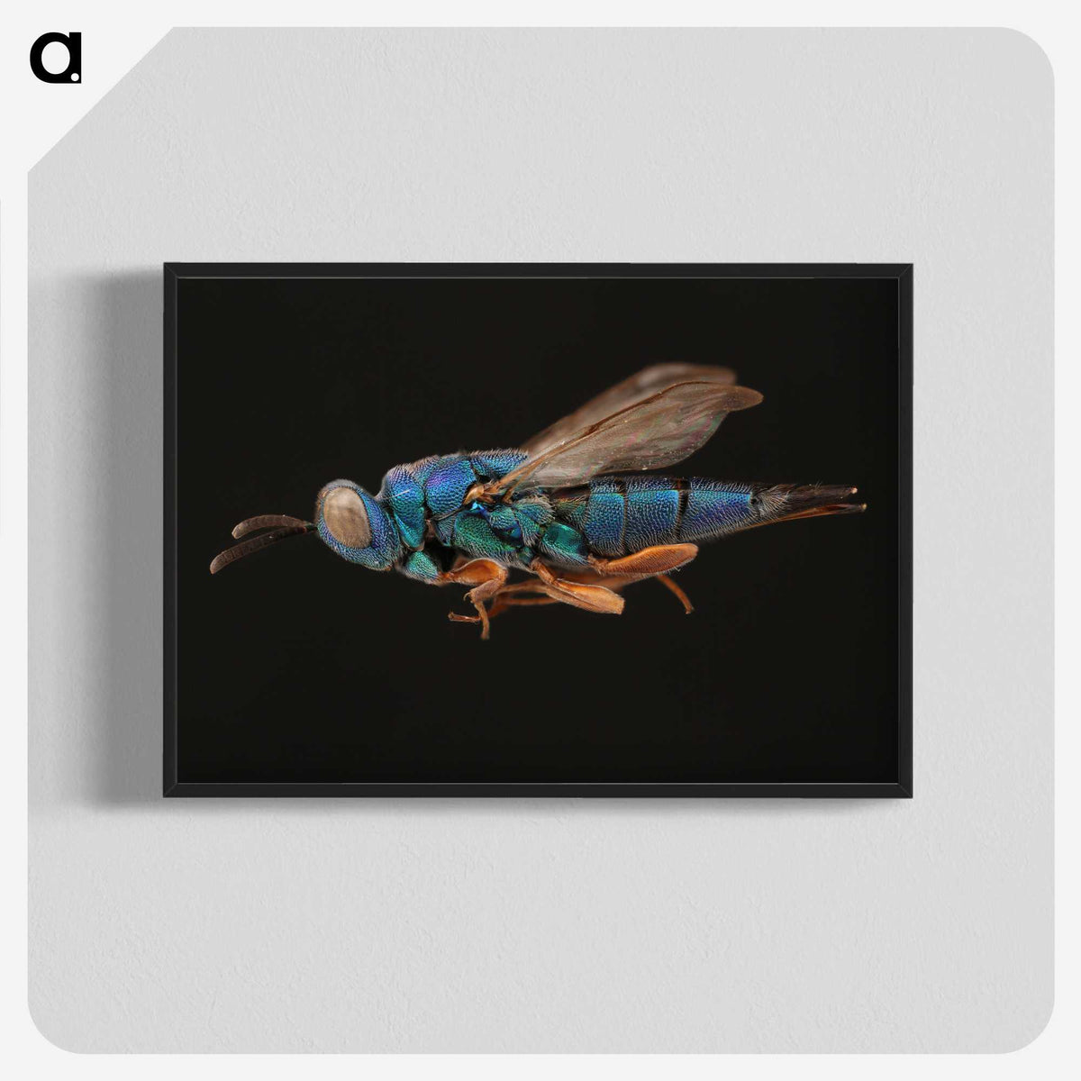 2-24_Insects-Unlocked-Project_blk-crop