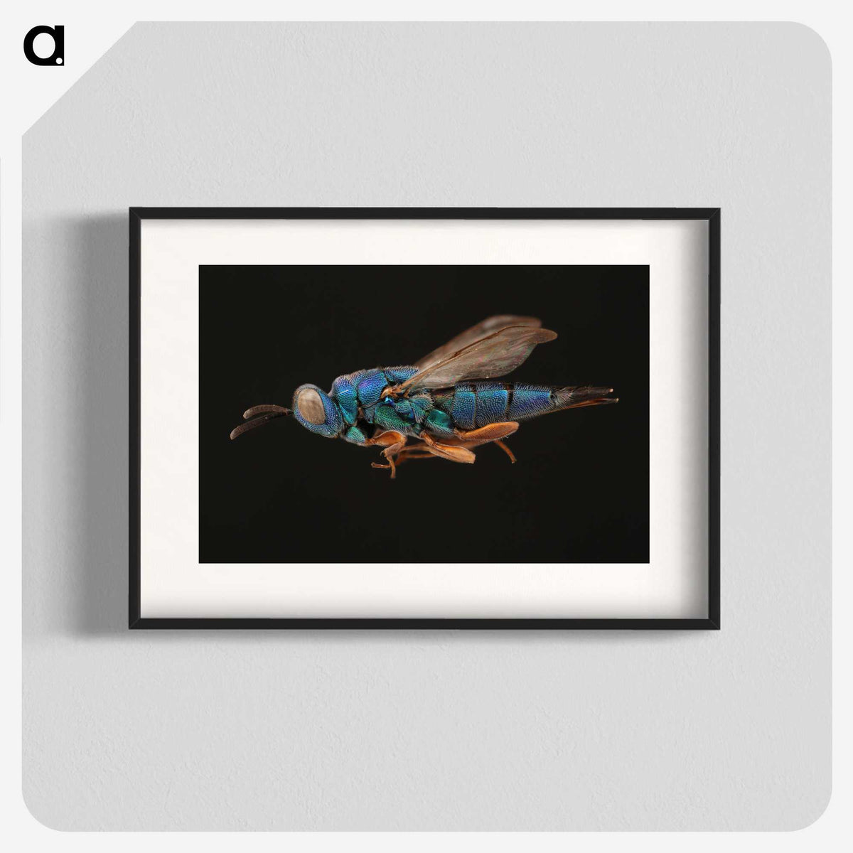 2-24_Insects-Unlocked-Project_blk
