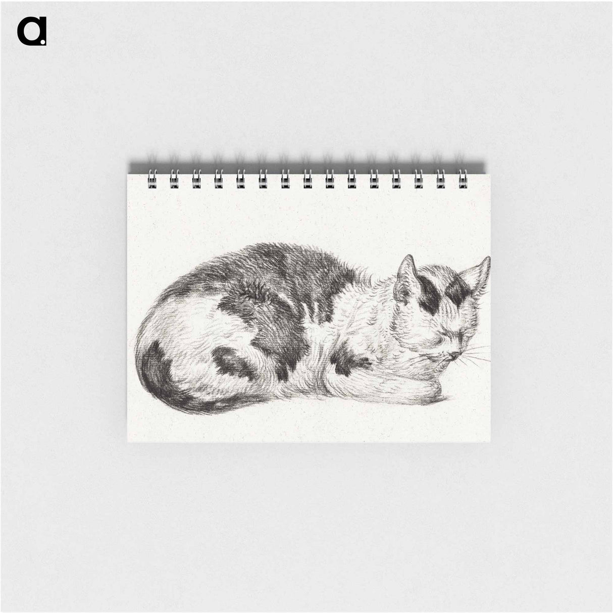 Lying cat - ジャン ベルナール Memo.