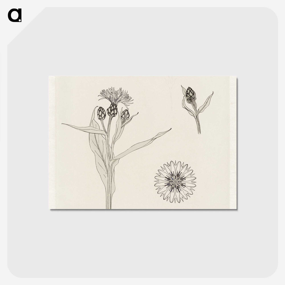 2-24_Julie-de-Graag_postcard
