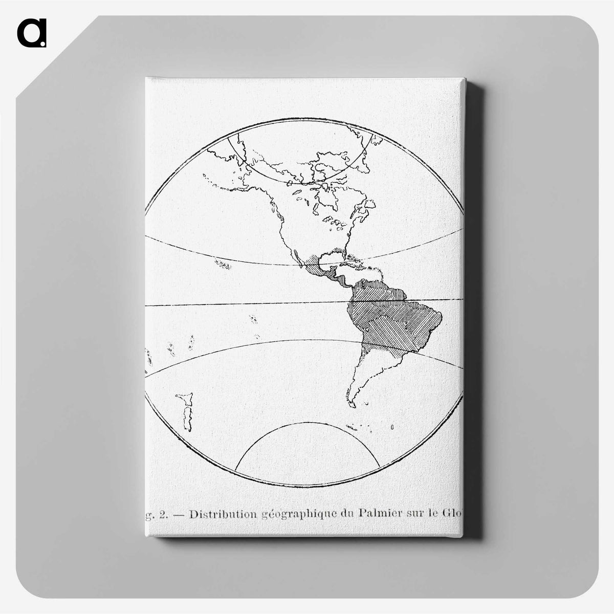 2-24_Les-Palmiers-Histoire-Iconographique_canvas