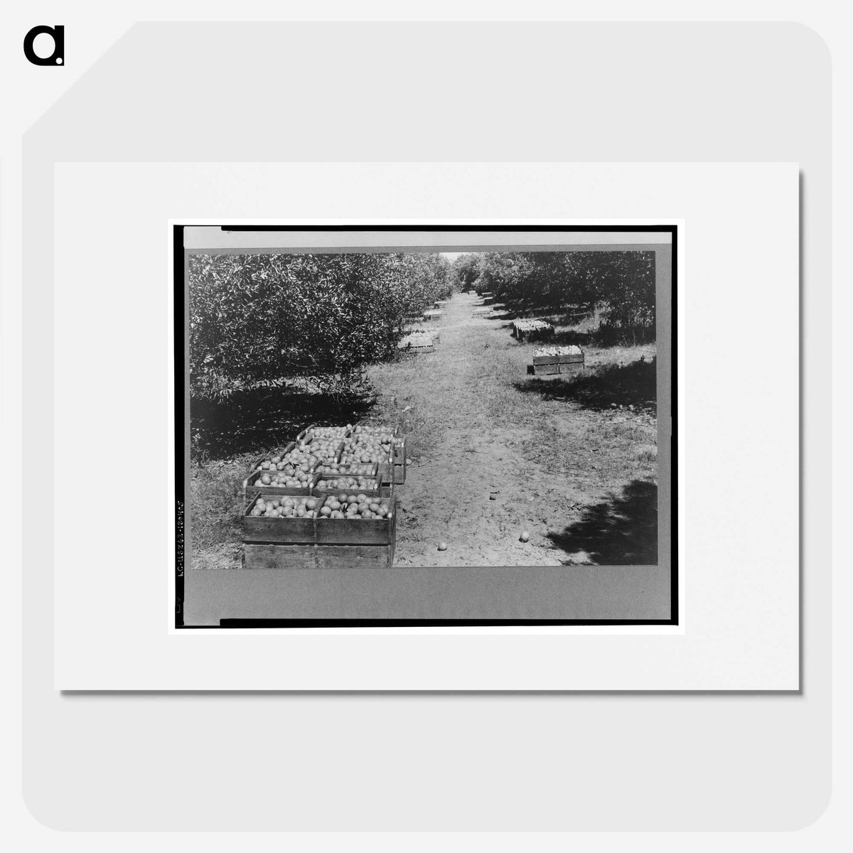 2-24_Marion-Post-Wolcott_picture