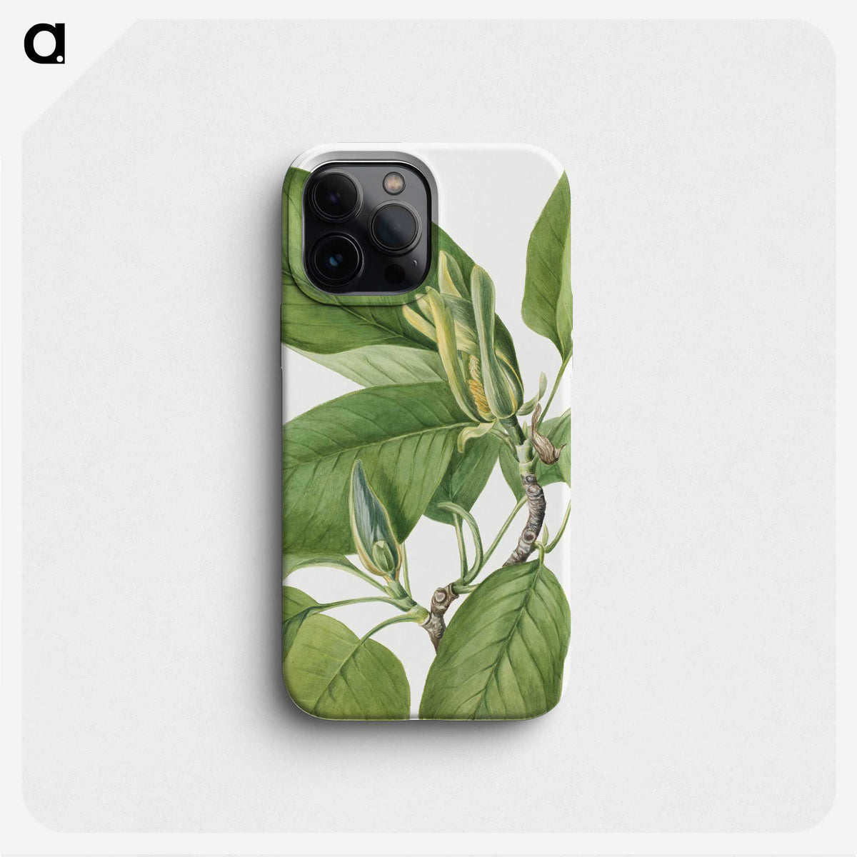 2-24_Mary-Vaux-Walcott_phone