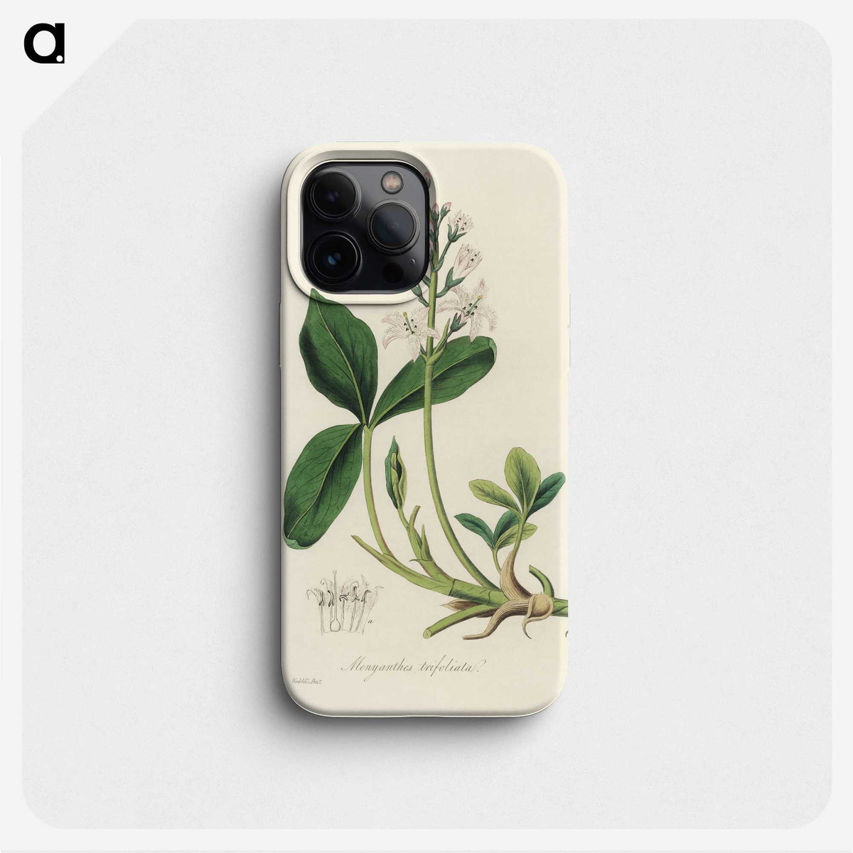2-24_Medical-Botany_phone