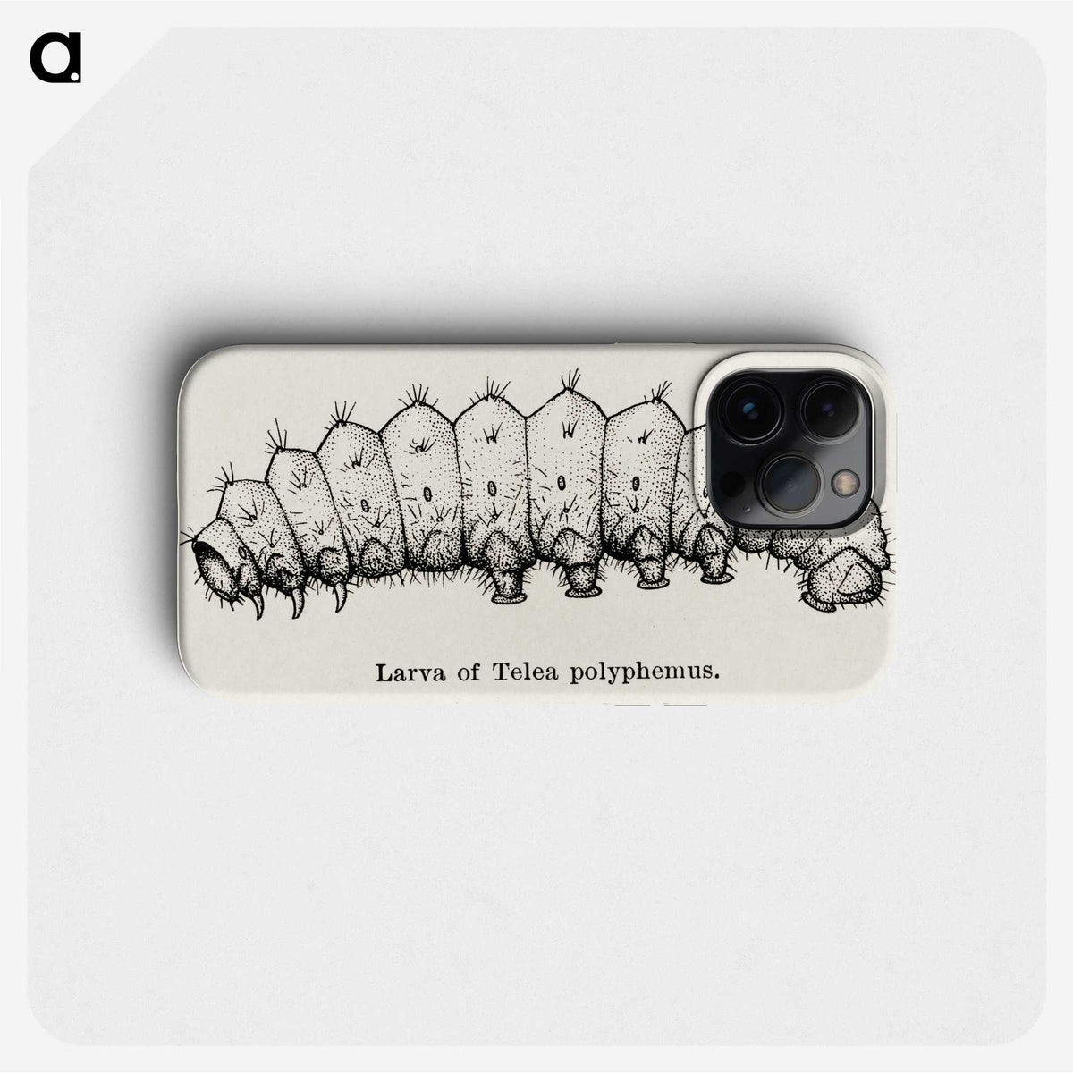 2-24_Moths-and-Butterflies-of-the-United-States_phone