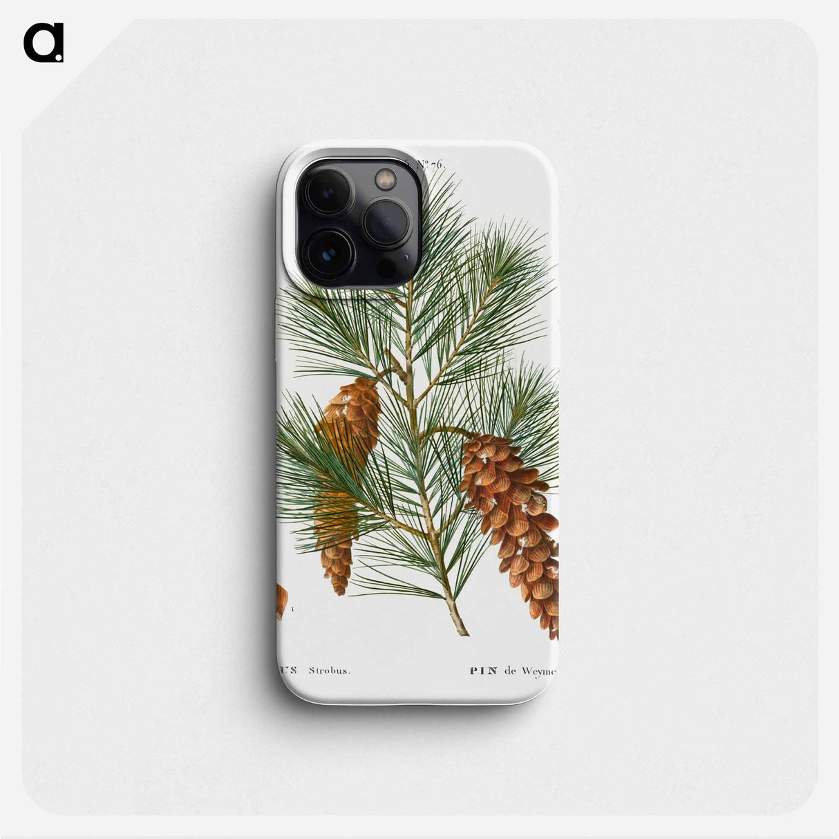 White pine, Pinus strobus - ピエール ジョゼフ ルドゥーテ Phone Case.