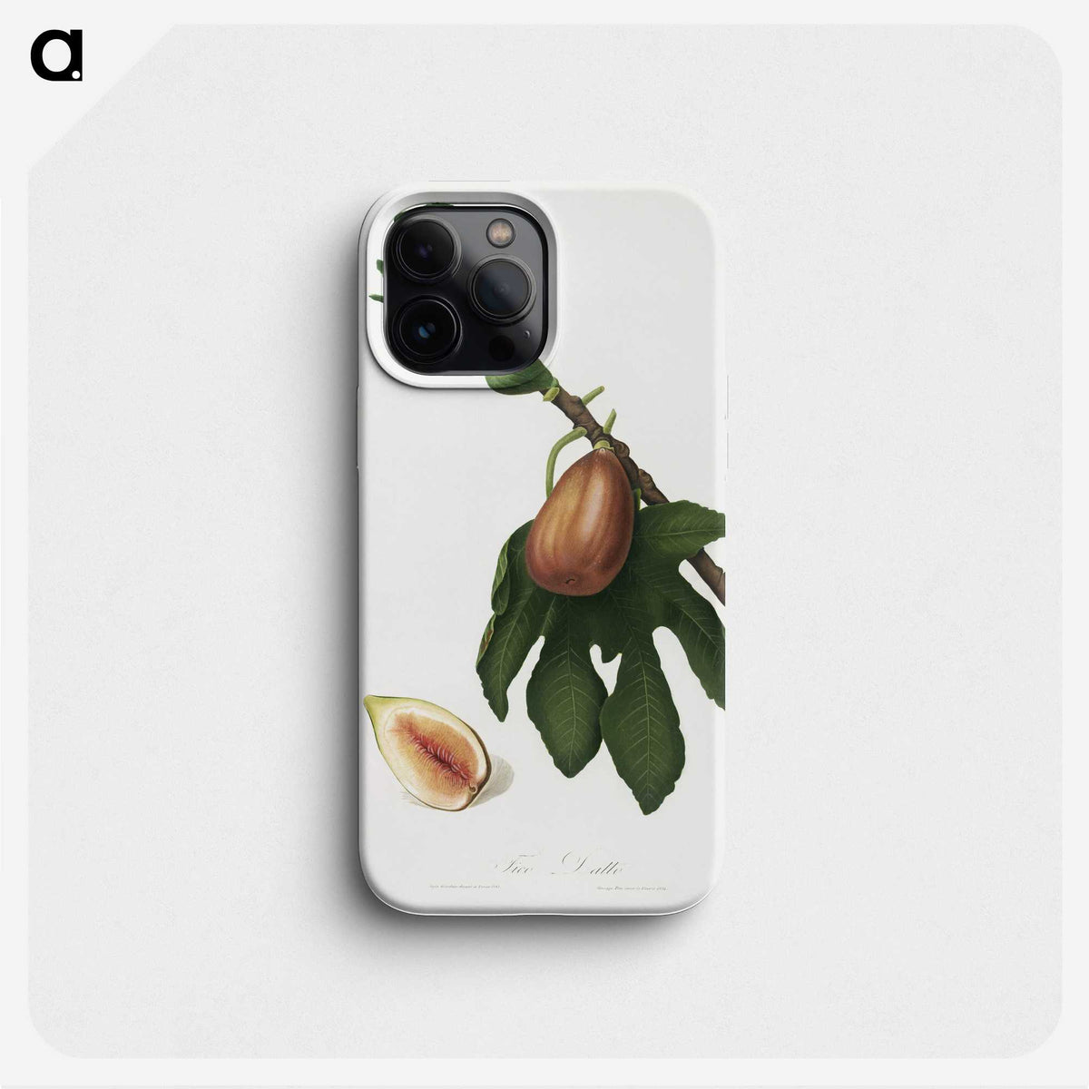 2-24_Pomona-Italiana_phone
