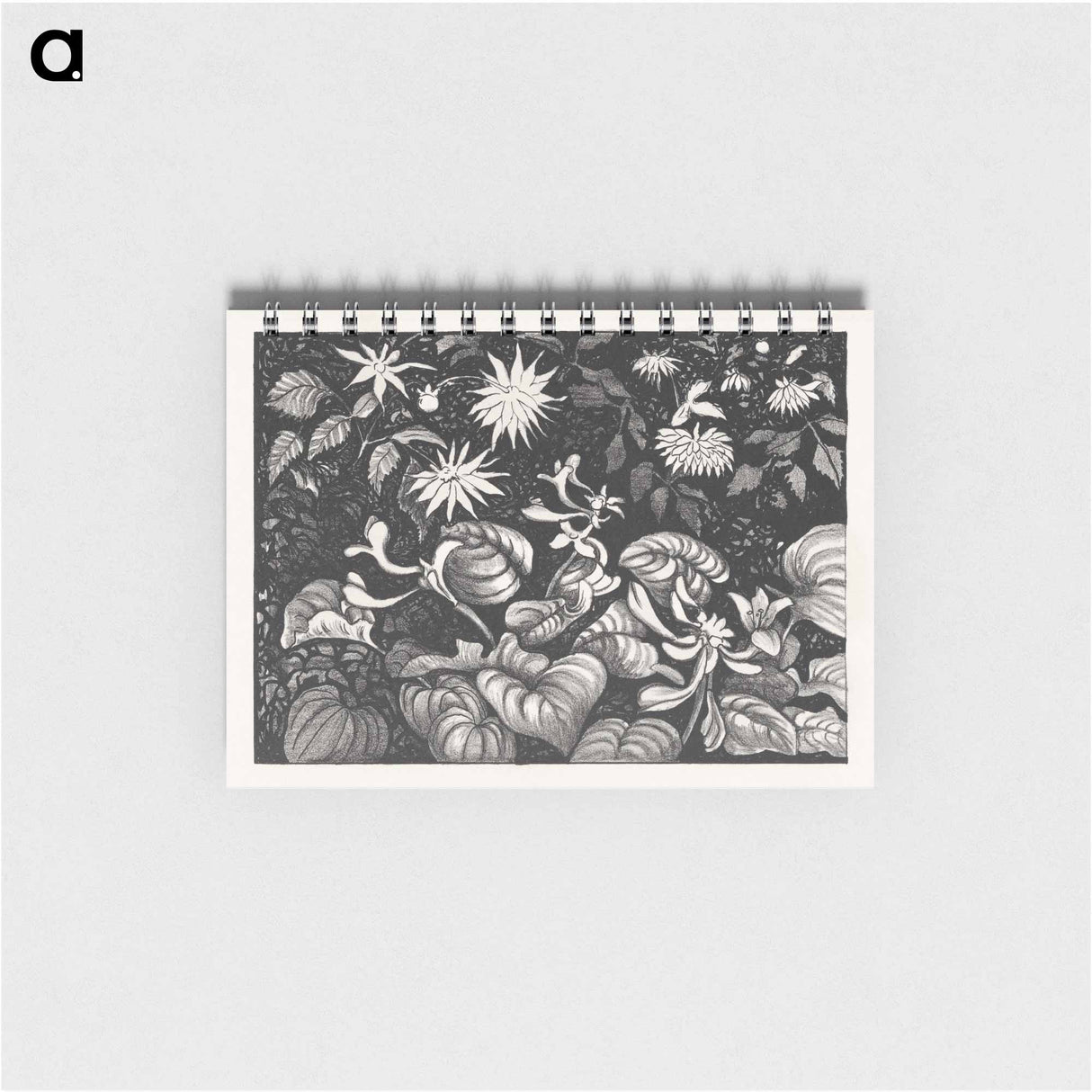 Wilde planten en bloemen - テオ ヴァン ホイテマ Memo.