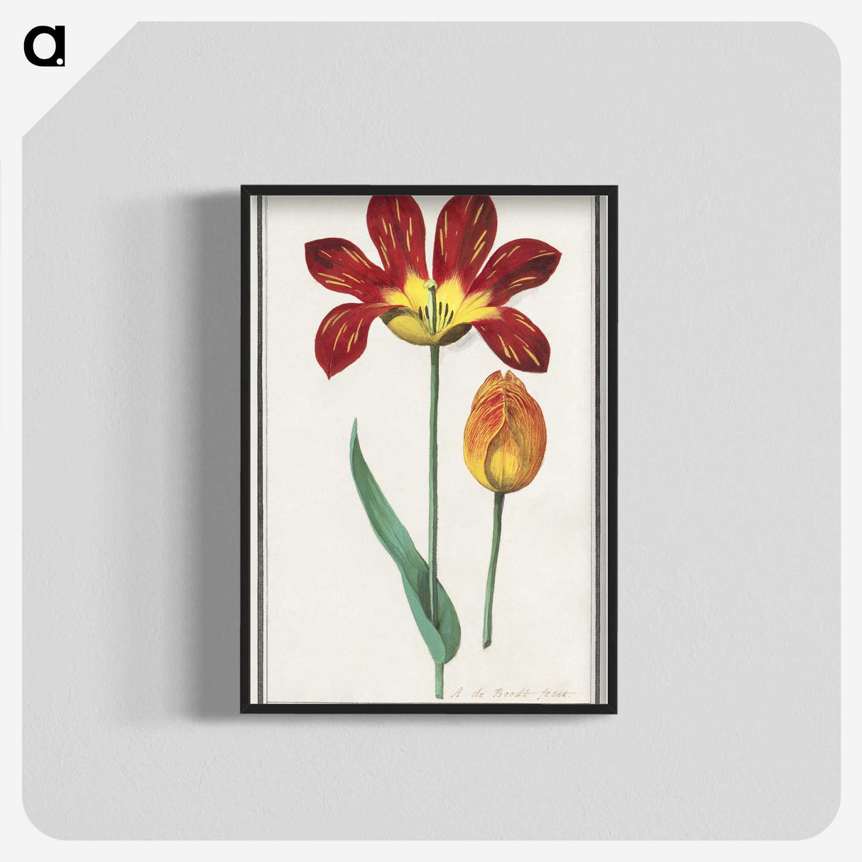 2-25_Anselmus-Boetius-de-Boodt_blk-crop