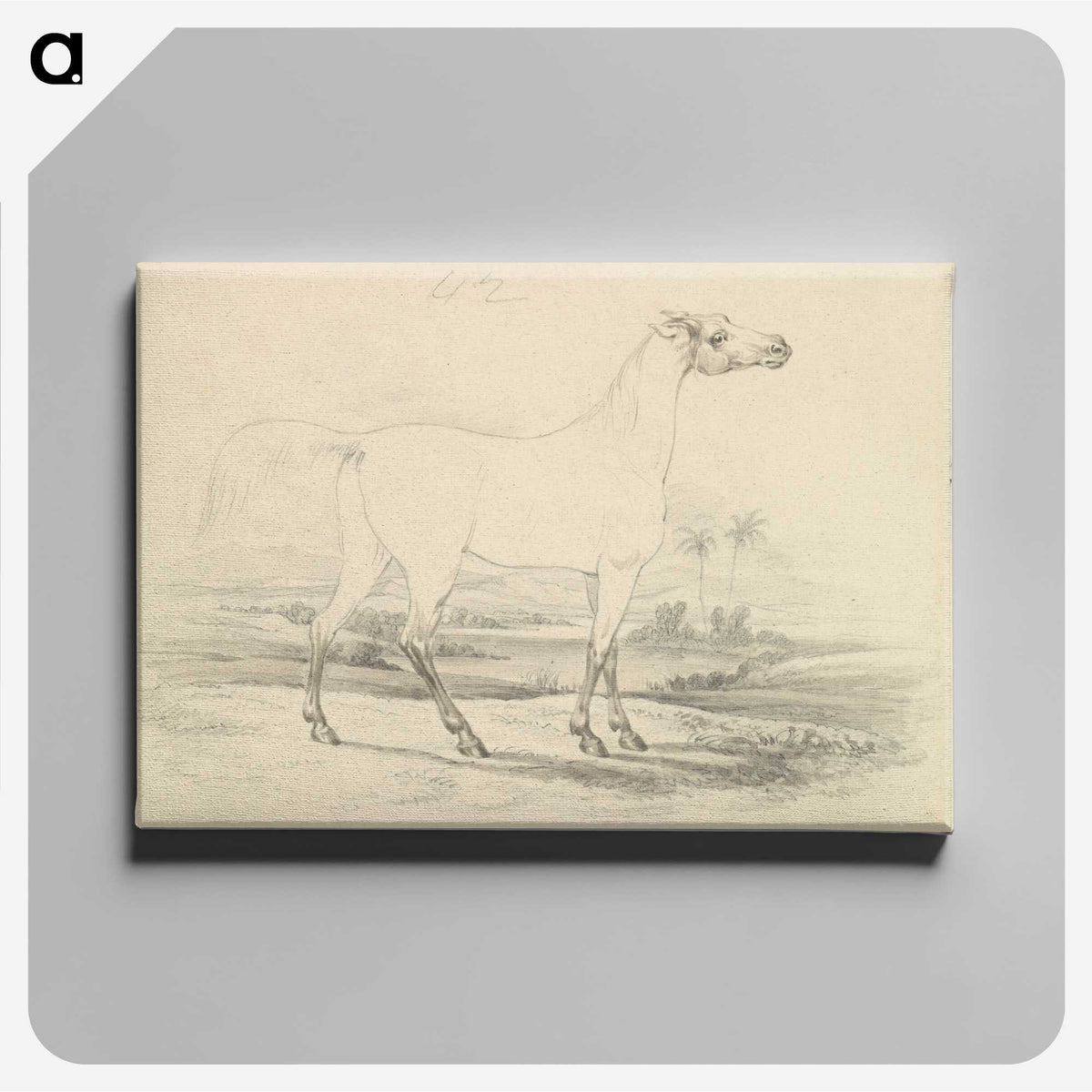 2-25_Charles-Hamilton-Smith_canvas