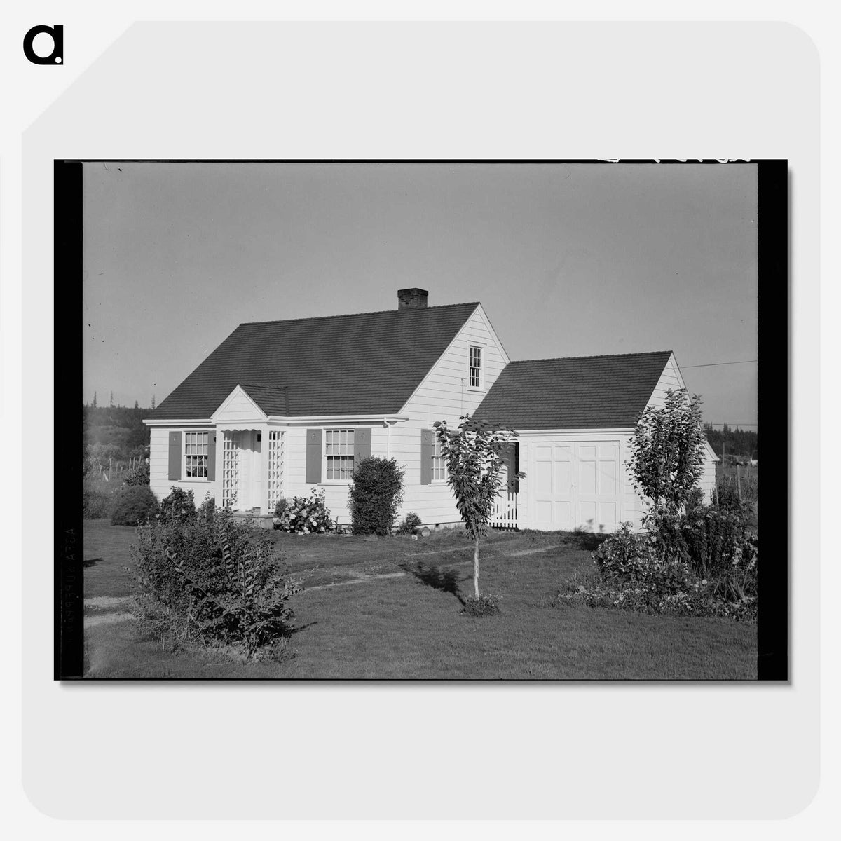 2-25_Dorothea-Lange_picture-crop